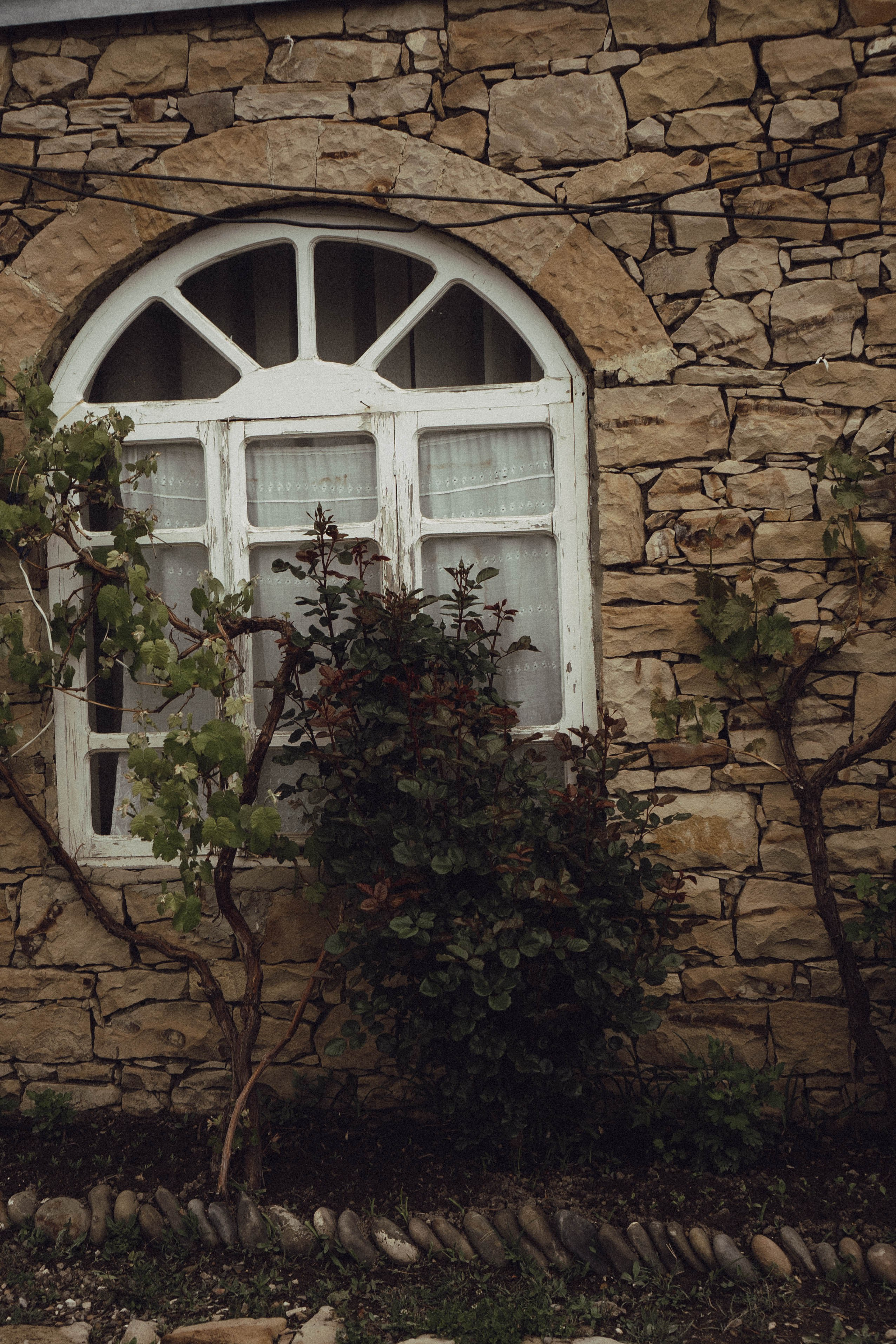Кавказ. Профессиональный фотограф, Санкт-Петербург — Виктория Богомолова
