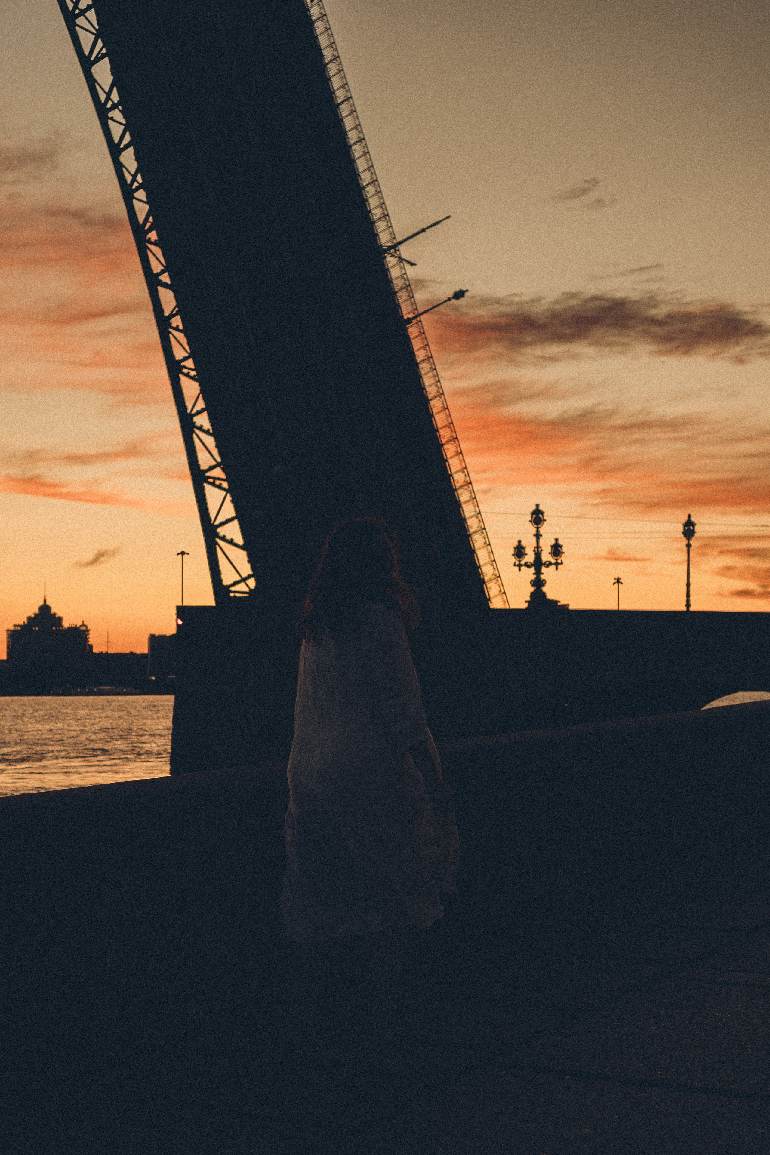 РАССВЕТ С РАЗВОДНЫМИ МОСТАМИ. Профессиональный фотограф, Санкт-Петербург — Виктория Богомолова