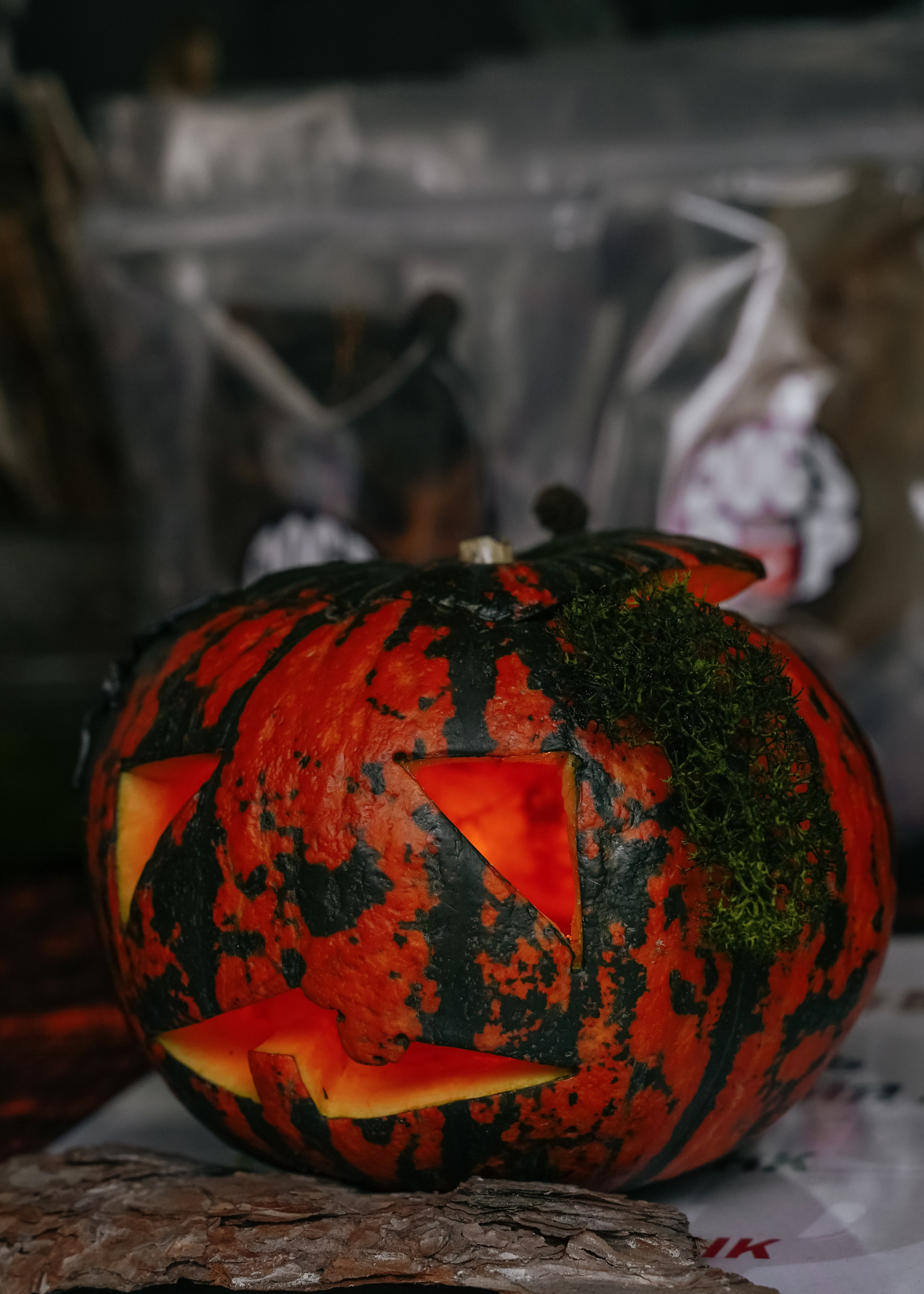 Тематическая встреча породников «Griffween». Фотограф-анималист Ксения Воробьева, Москва