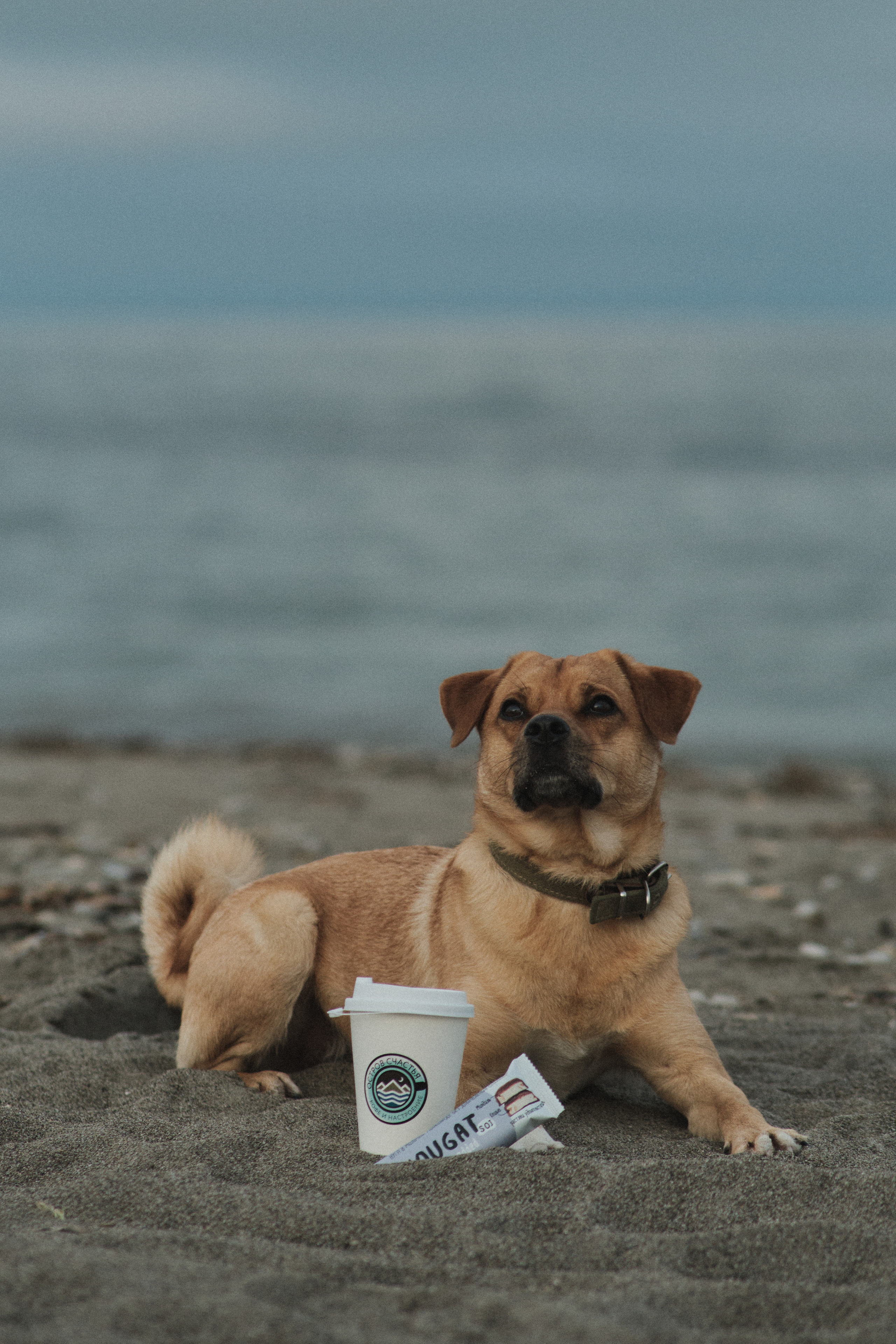 Кофейня «Остров Счастья»