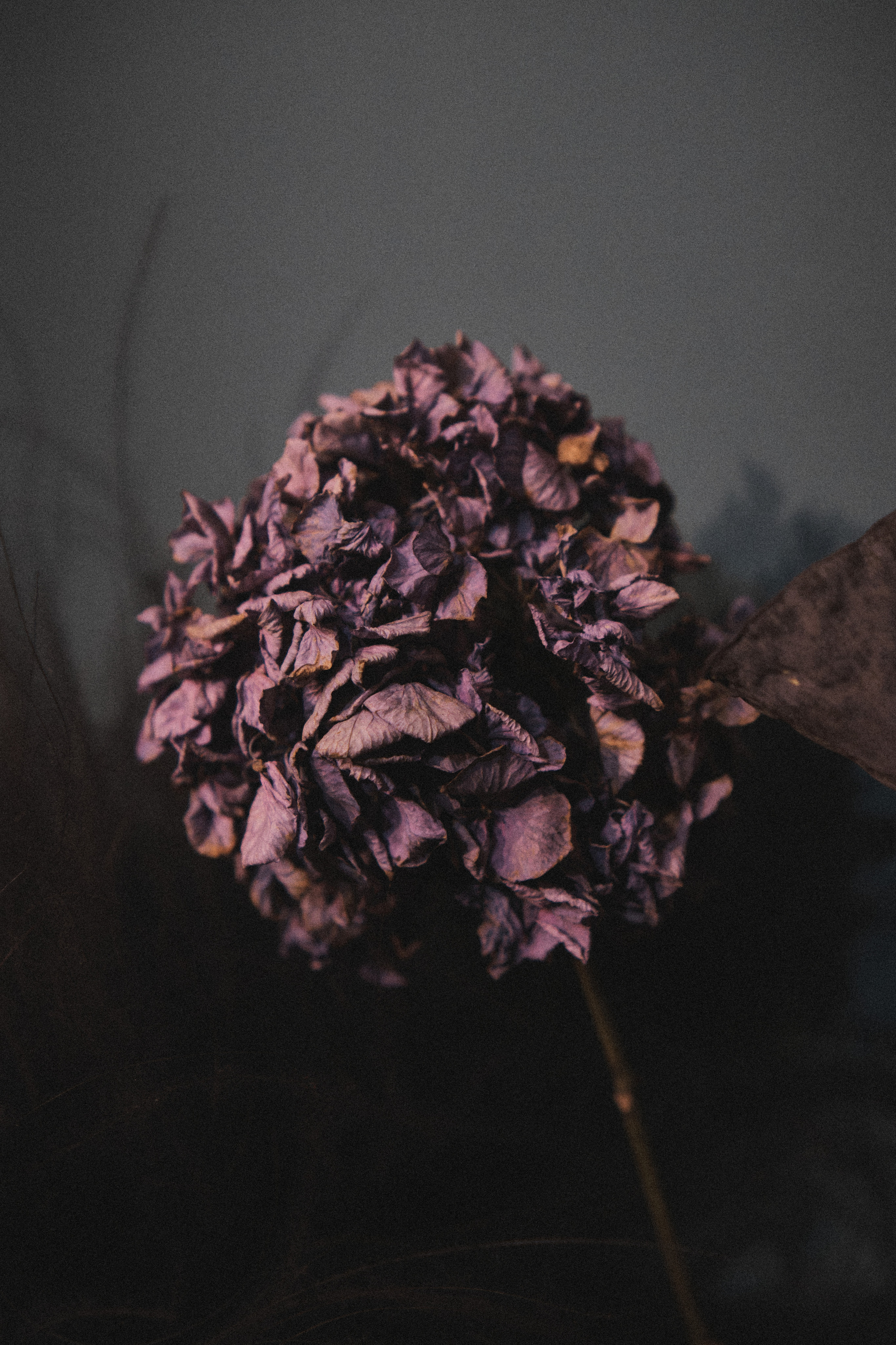 “Gift`N`Roses” Flower Studio