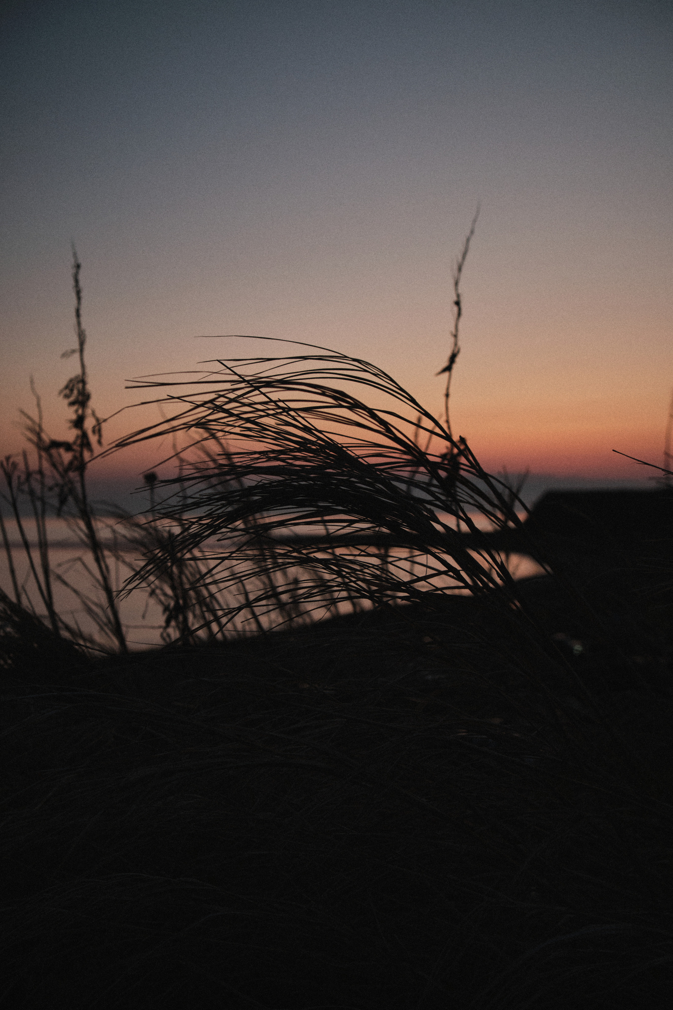 FUJIFILM	 X-S10 + VILTROX AF 23/1.4 XF 1/250s f/4.0 ISO640 5/7/2023 - 8:49:43 PM	