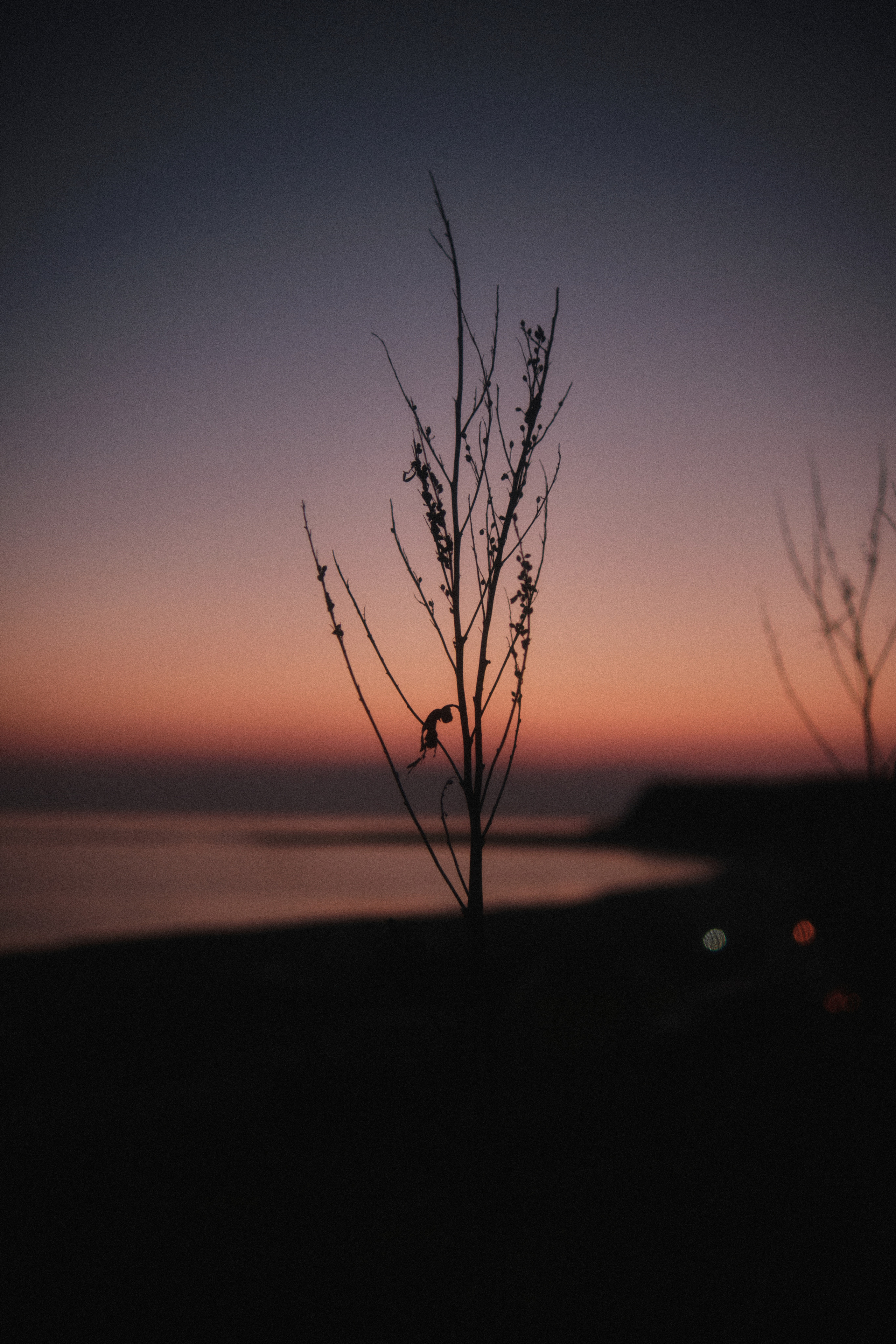 FUJIFILM	 X-S10 + VILTROX AF 23/1.4 XFм 1/1000s f/1.8 ISO640 5/7/2023 - 9:04:46 PM	