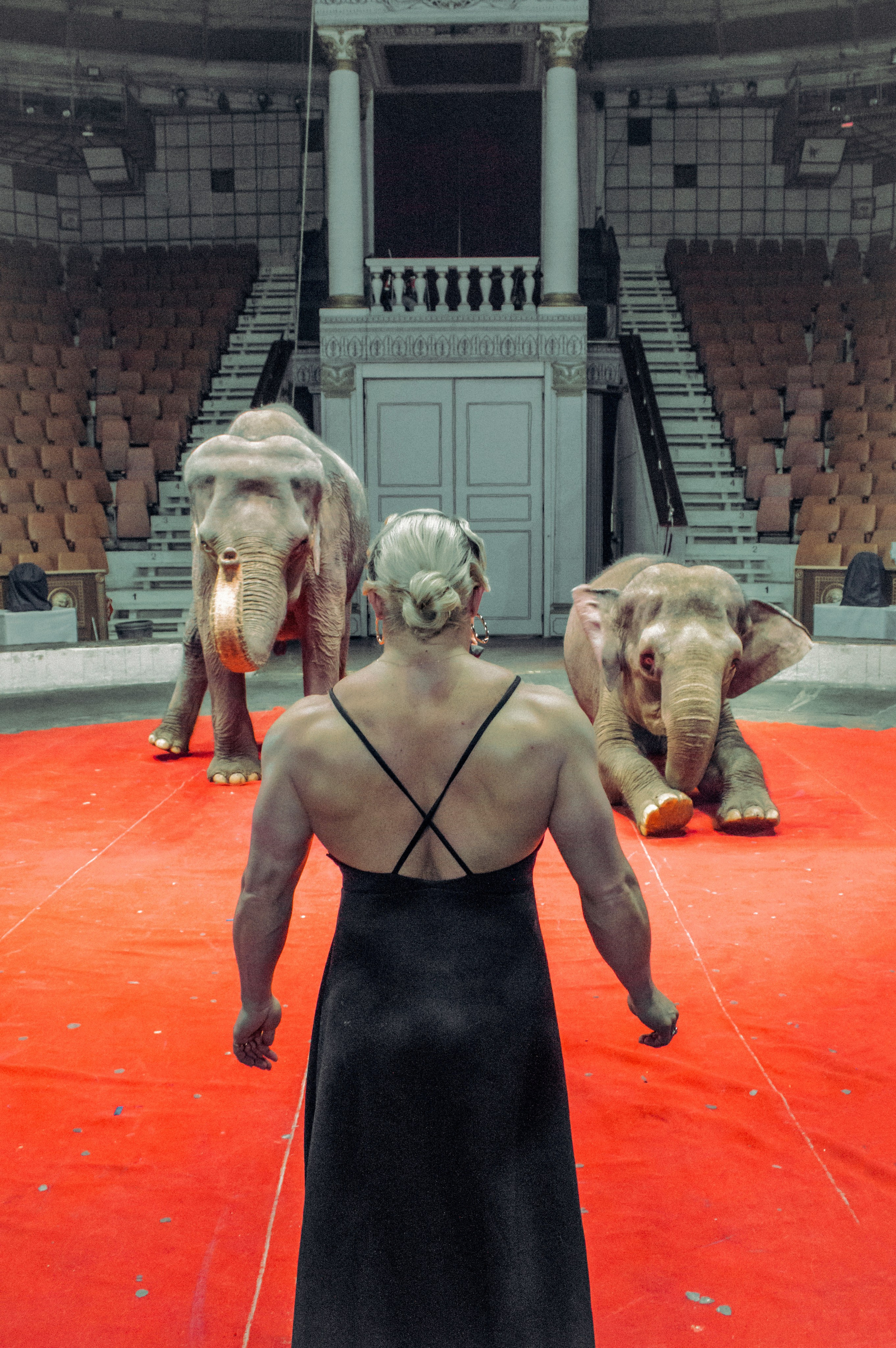 Екатерина. Главная