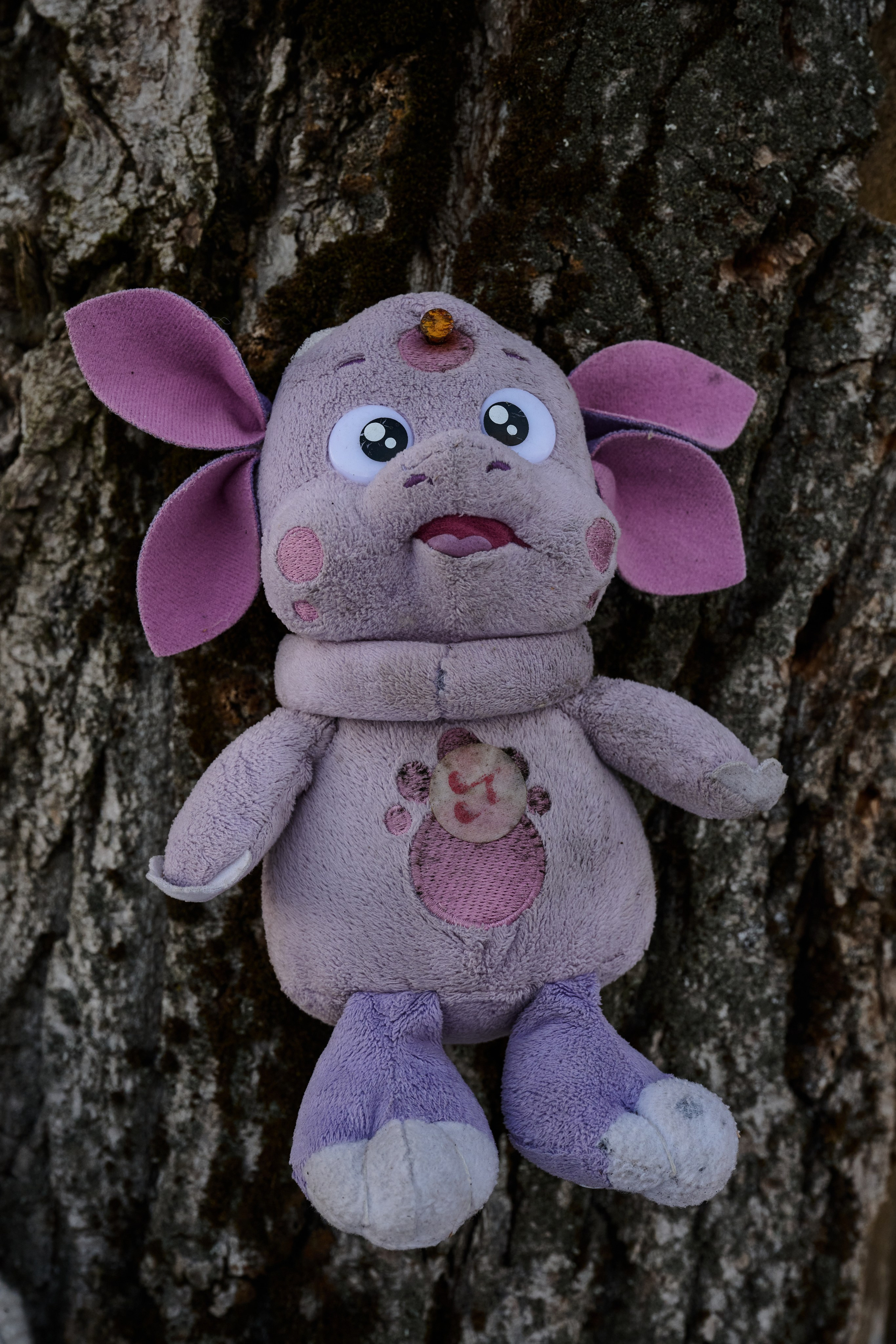 Рубежное. Январь 2026. Фотограф Роман Адлер