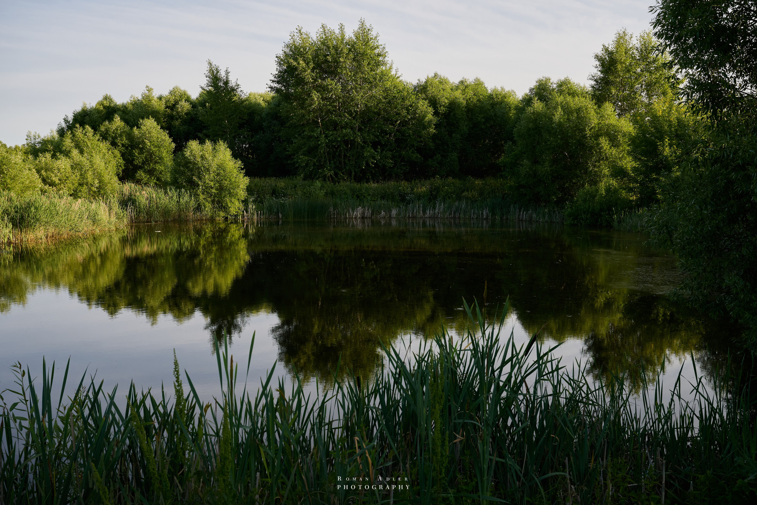 Суздаль. Июнь 2025. Фотограф Роман Адлер