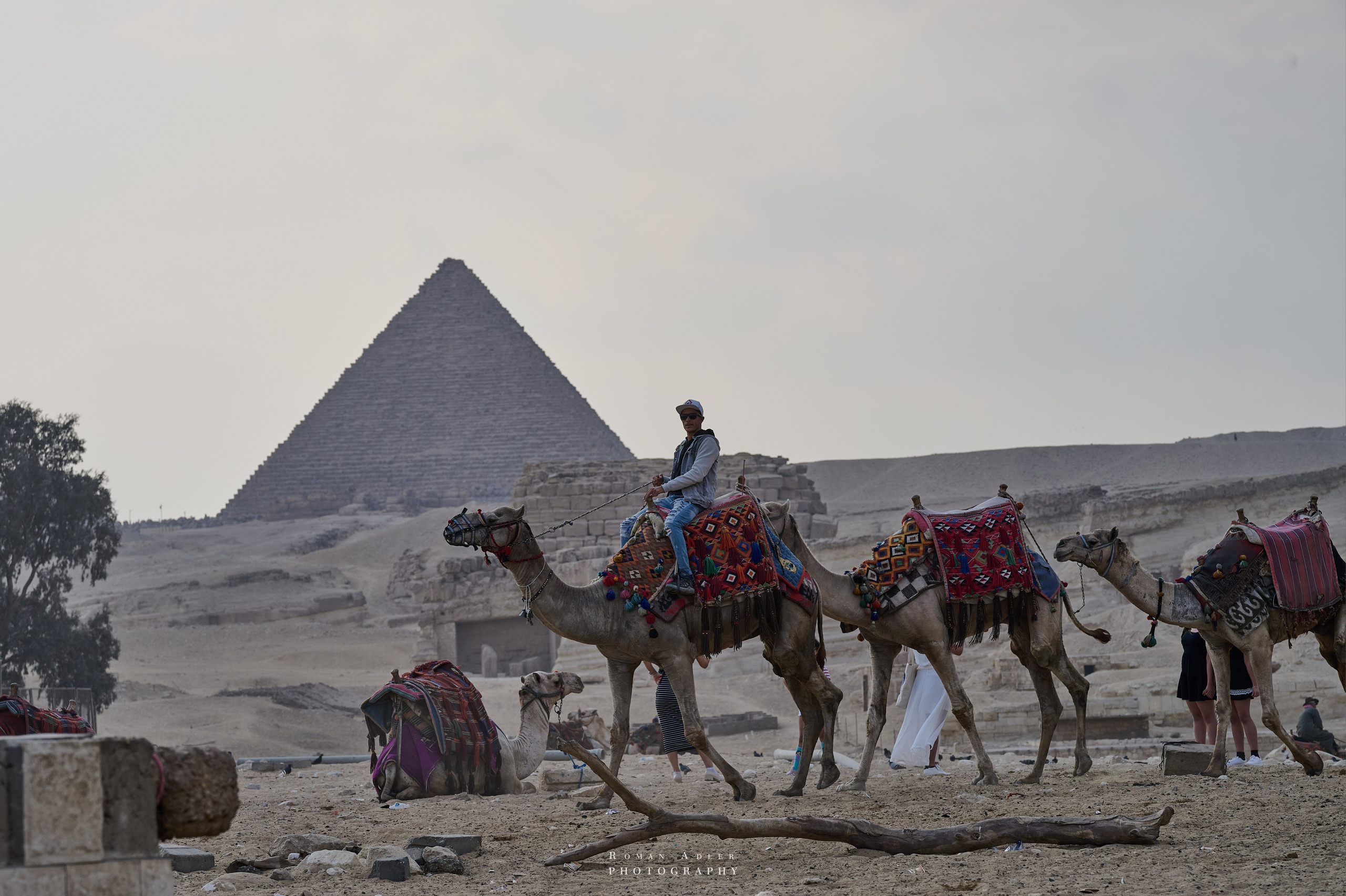 Гиза (Мемфис). Февраль 2025. Фотограф Роман Адлер