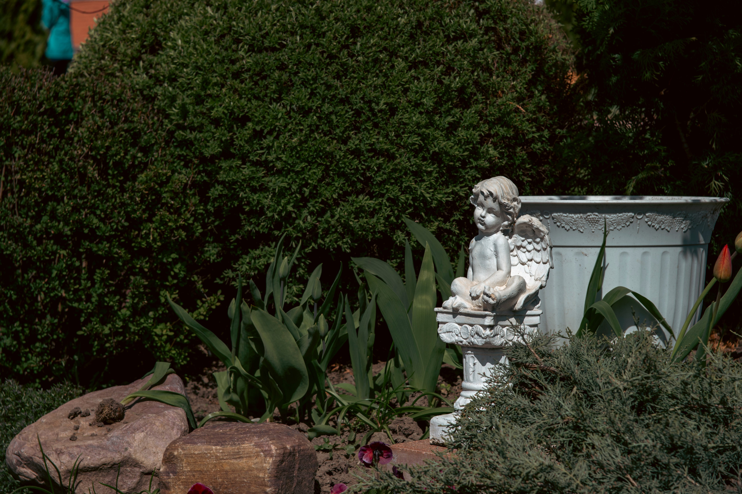 Муром. Май 2022. Фотограф Роман Адлер