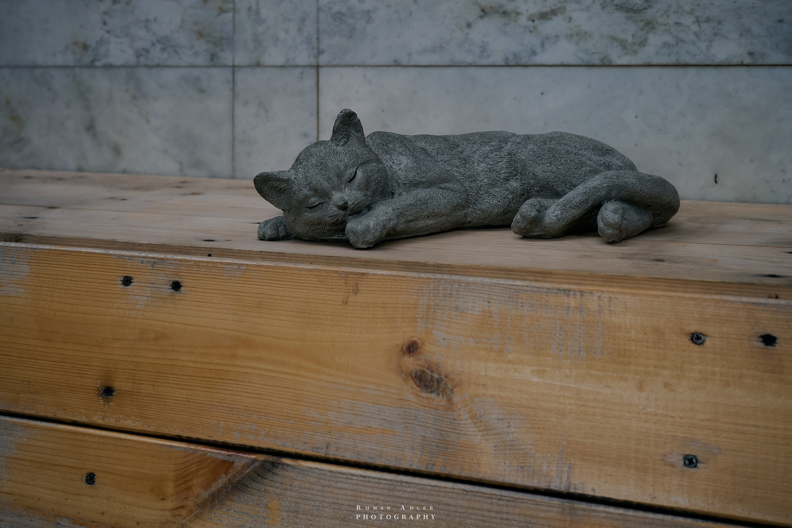 Воронеж. Август 2024. Фотограф Роман Адлер