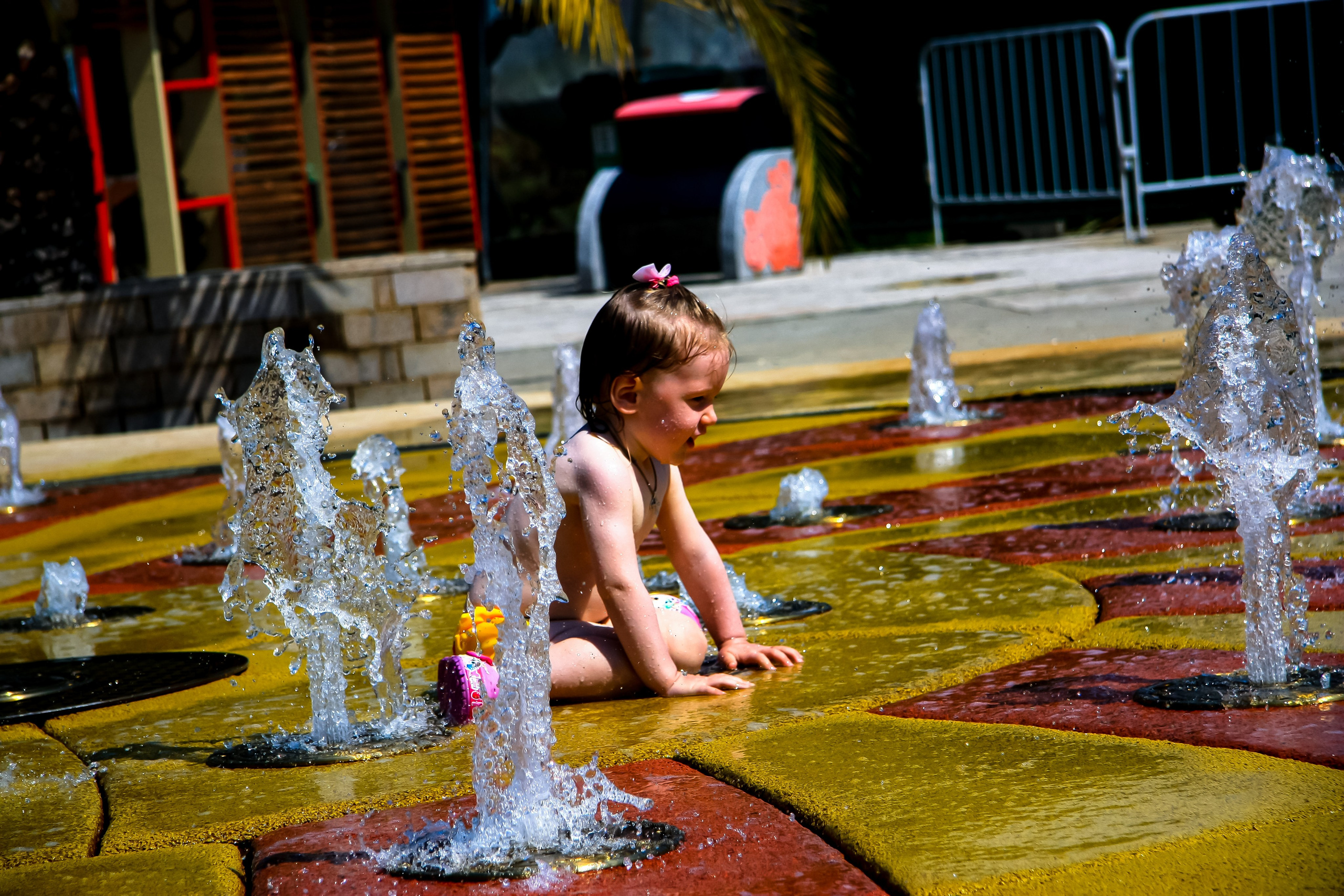 Первые кадры. Сочи — парк. Фотограф Роман Адлер