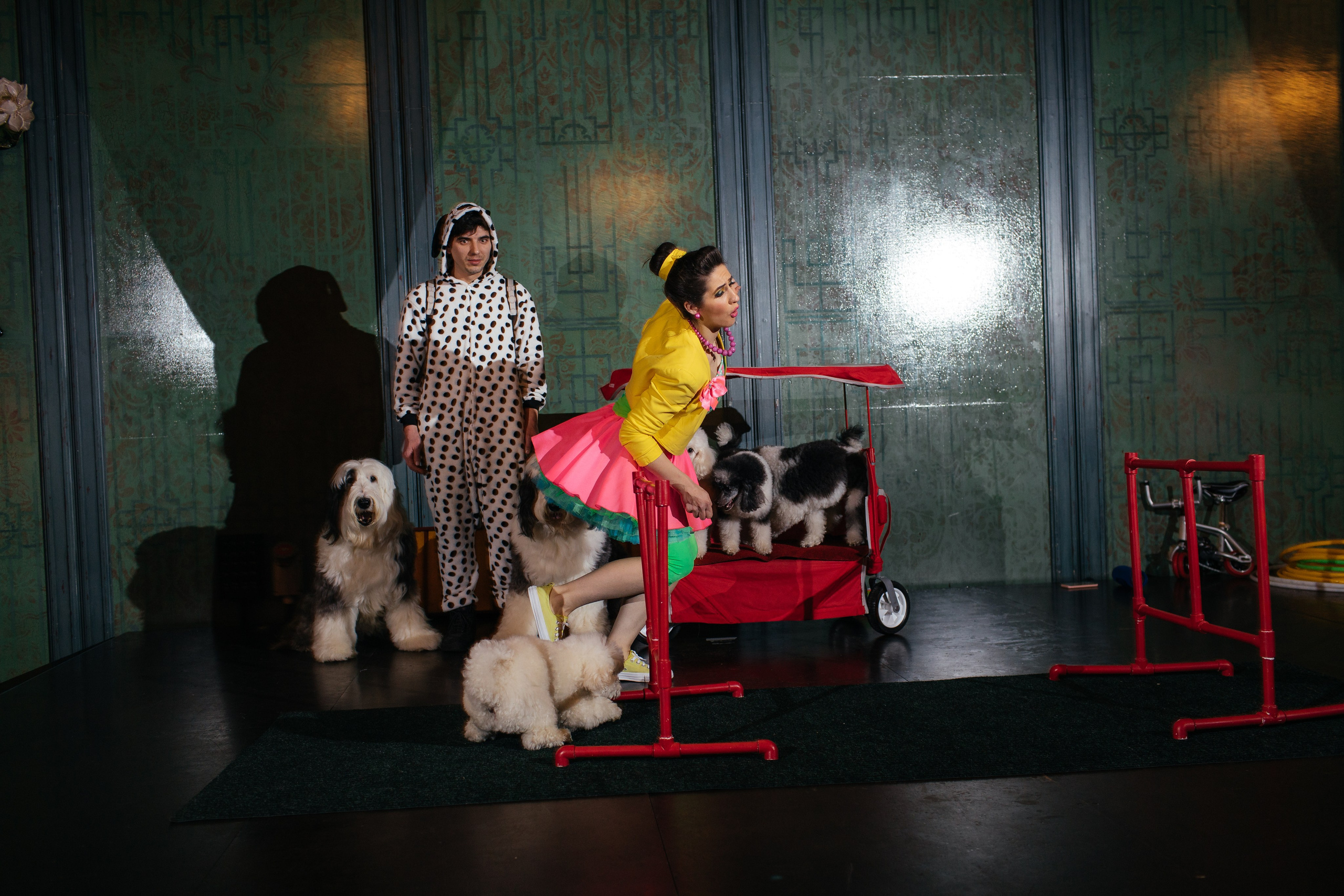 Алине 7 лет. Свадебный и семейный фотограф