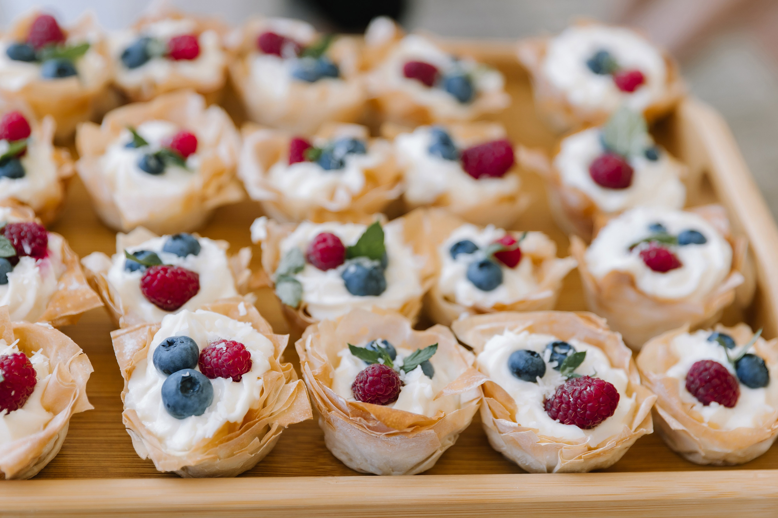 Бабочки. Фотограф Елена Краснопевцева