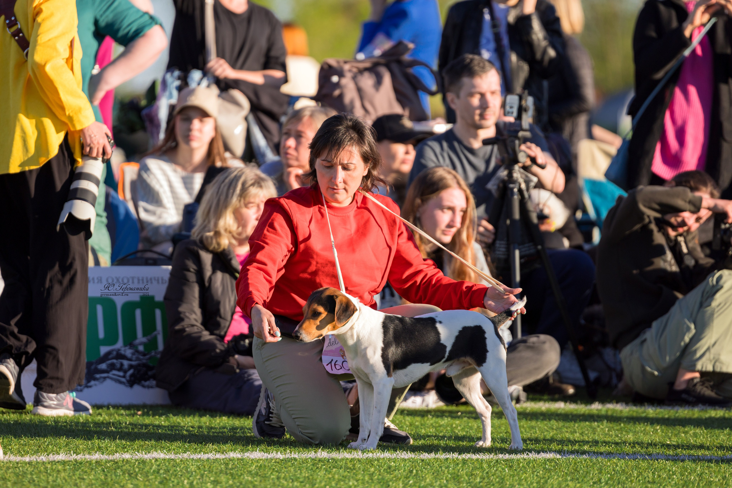 Суздаль 18-19.05.2024. Фотограф-анималист Юлия Германика