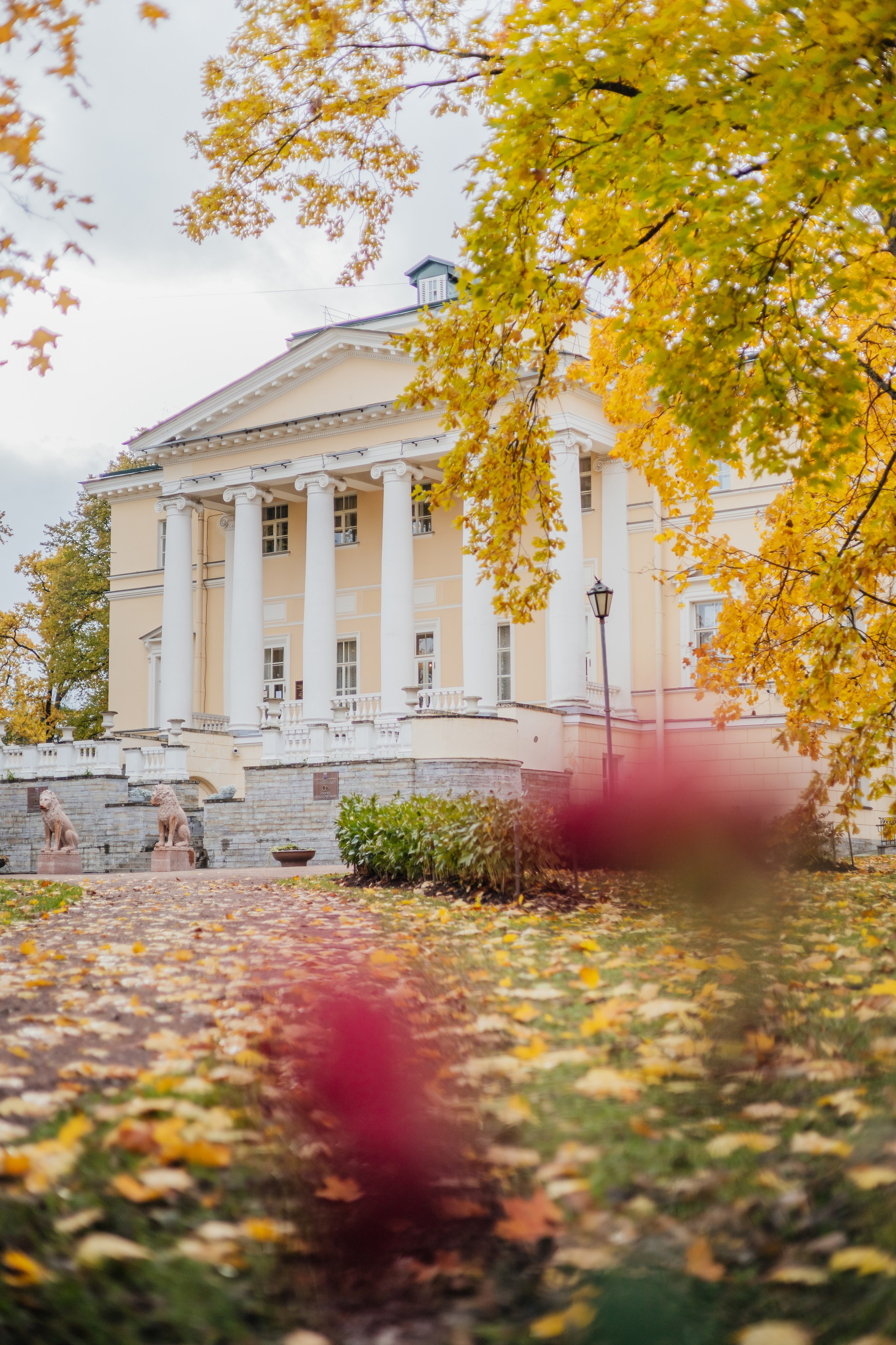 Отзывы. Семейный и детский life style фотограф в СПб и ЛО