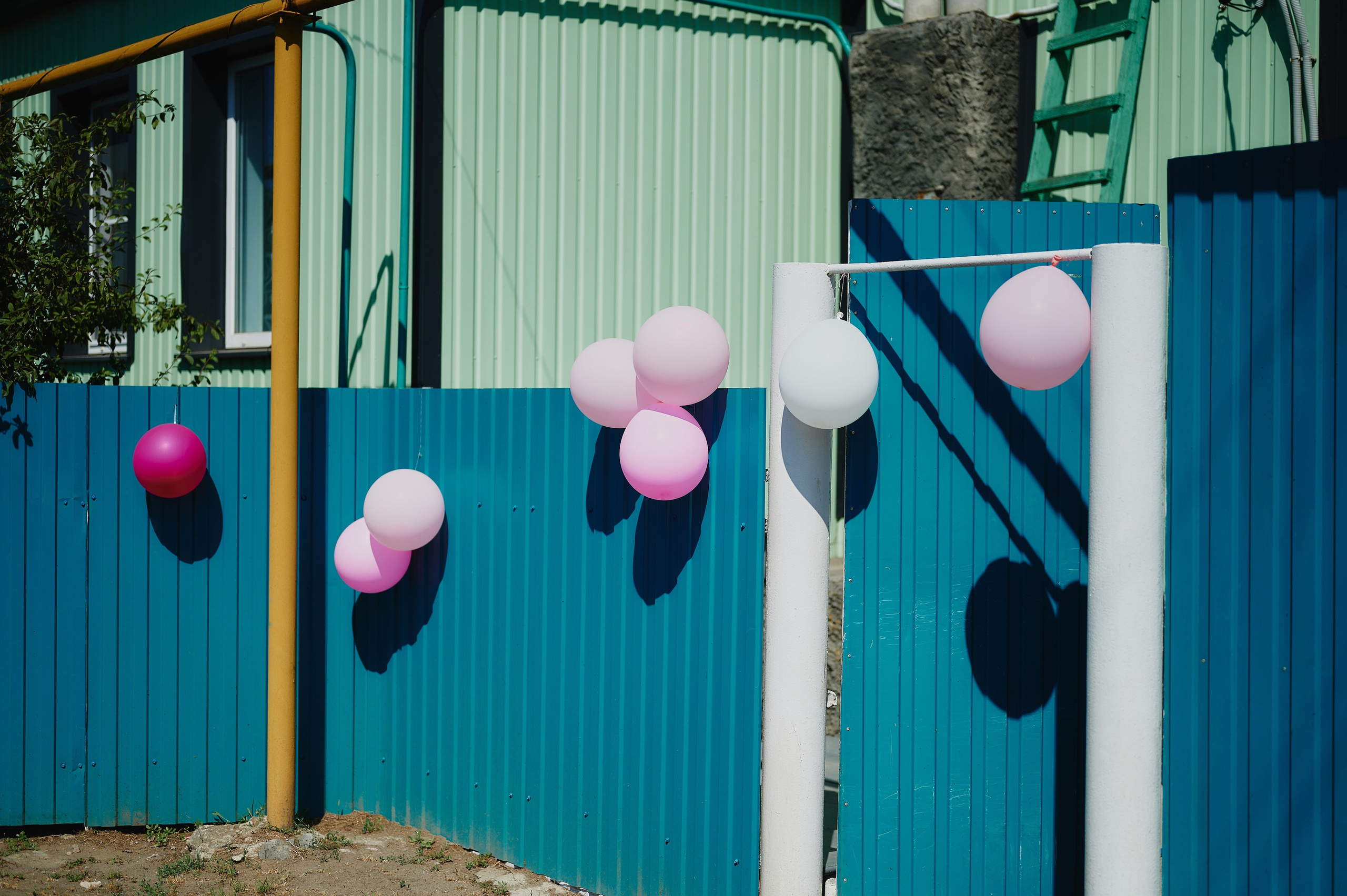 Виктория и Виталий. Фото-видеосъемка свадеб Venson Films