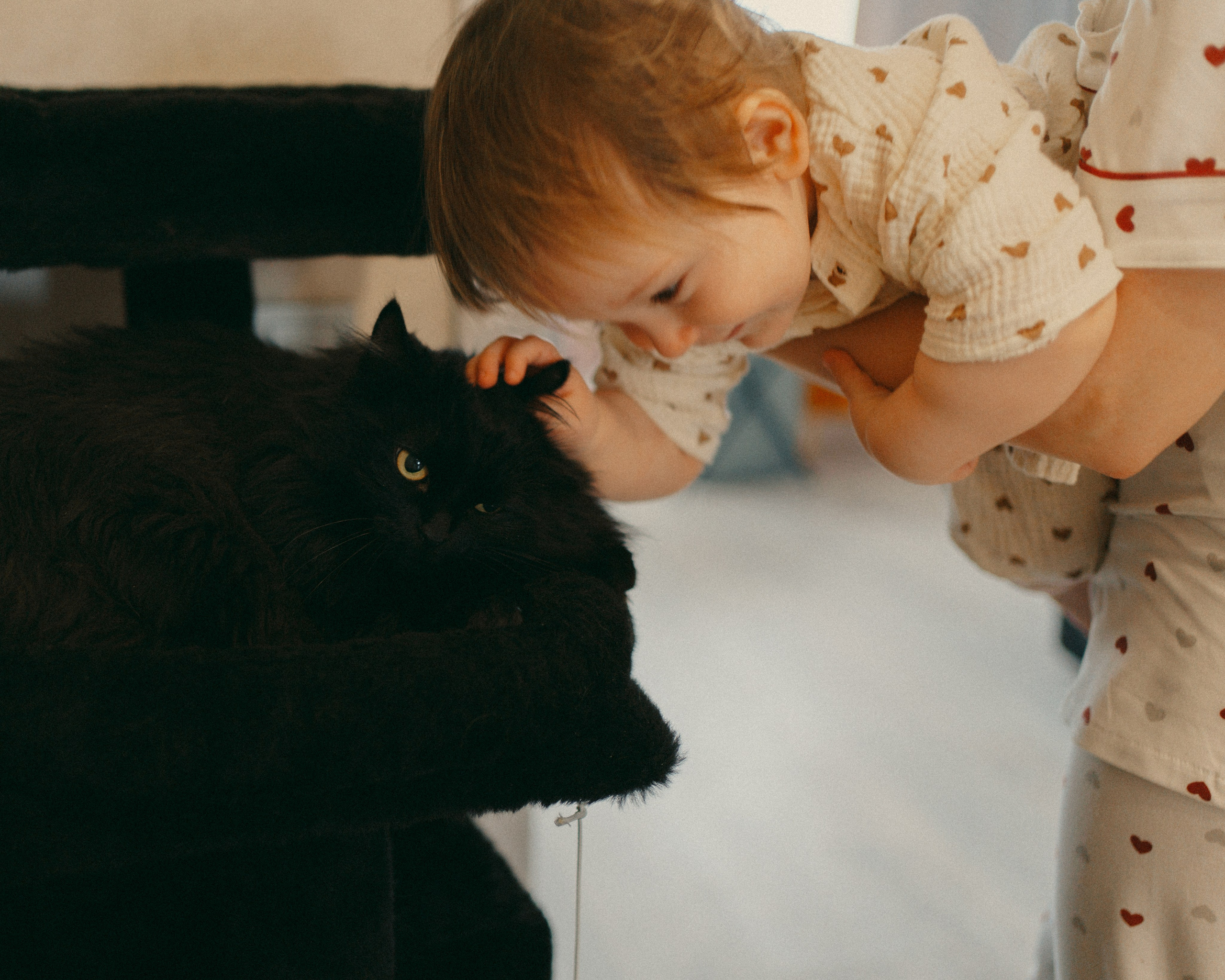 Домашняя съёмка для Андрея, Алсу и Алисы. Фотограф Анна Кузнецова | Казань | Красная Поляна, Сириус, Сочи