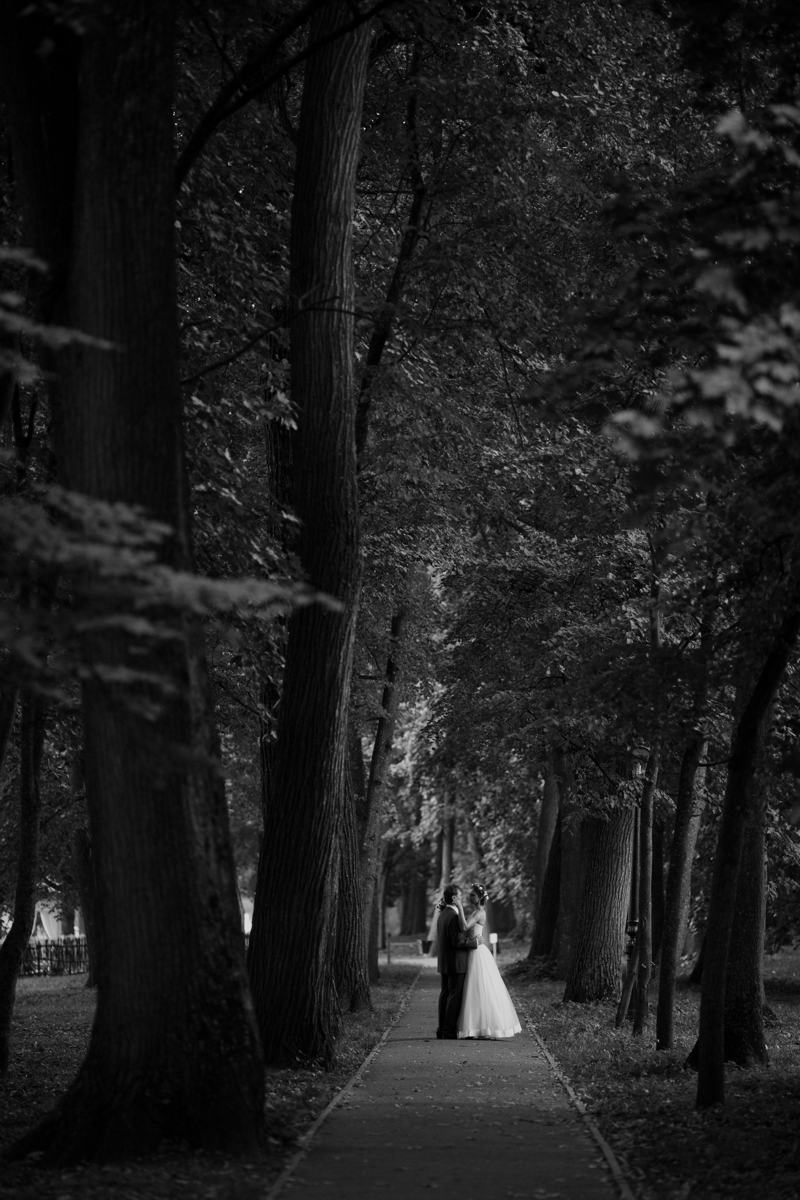 Свадьбы. Фотограф Александра Рышкова