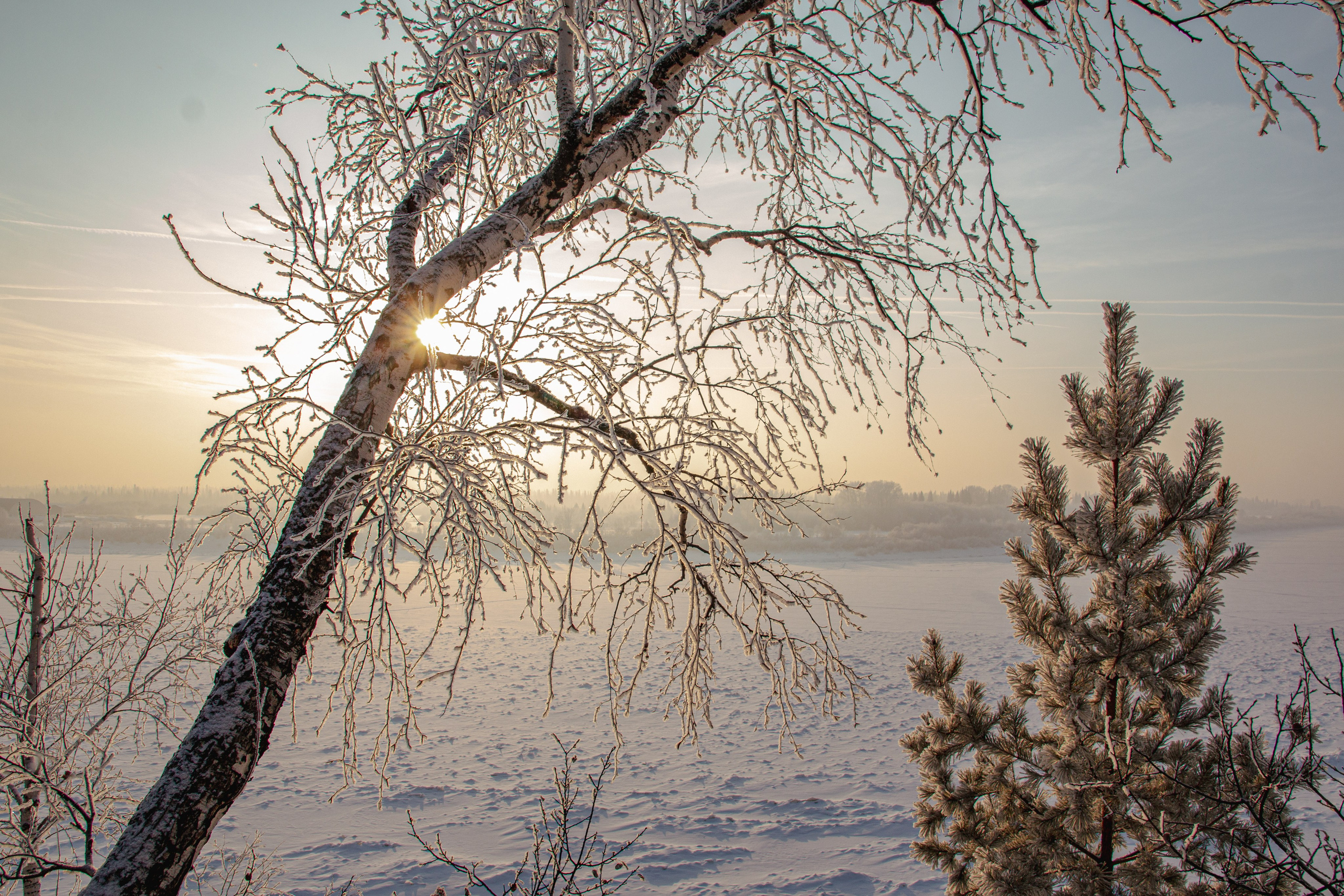Зима. Ваш фотограф Северск | Томск