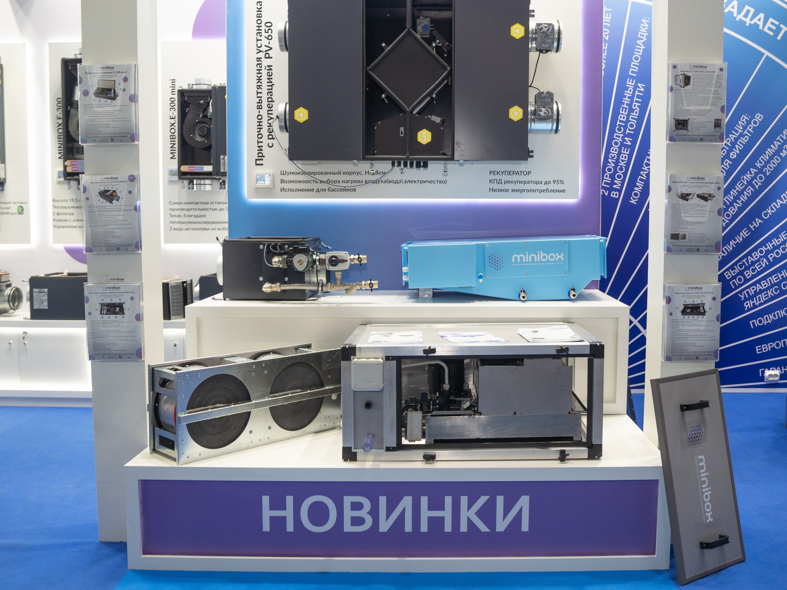 Крокус Вентиляция. Фотограф Зинаида Евдокимова