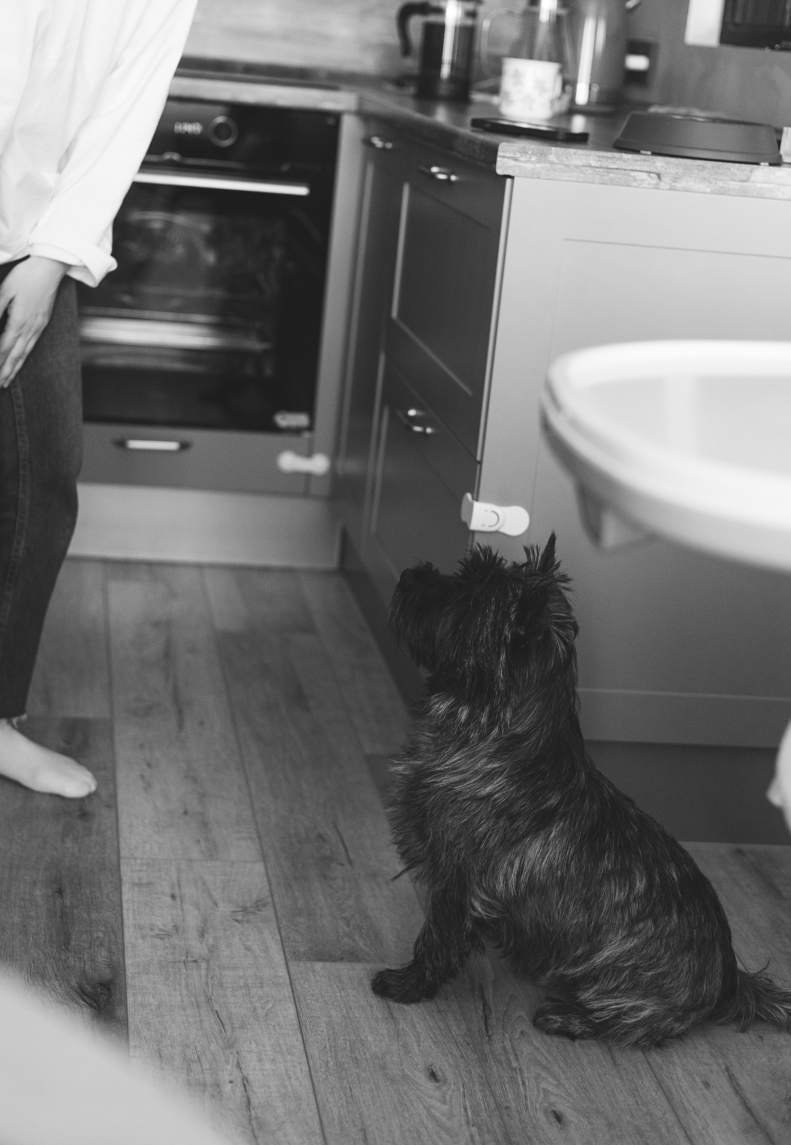 Домашняя съемка