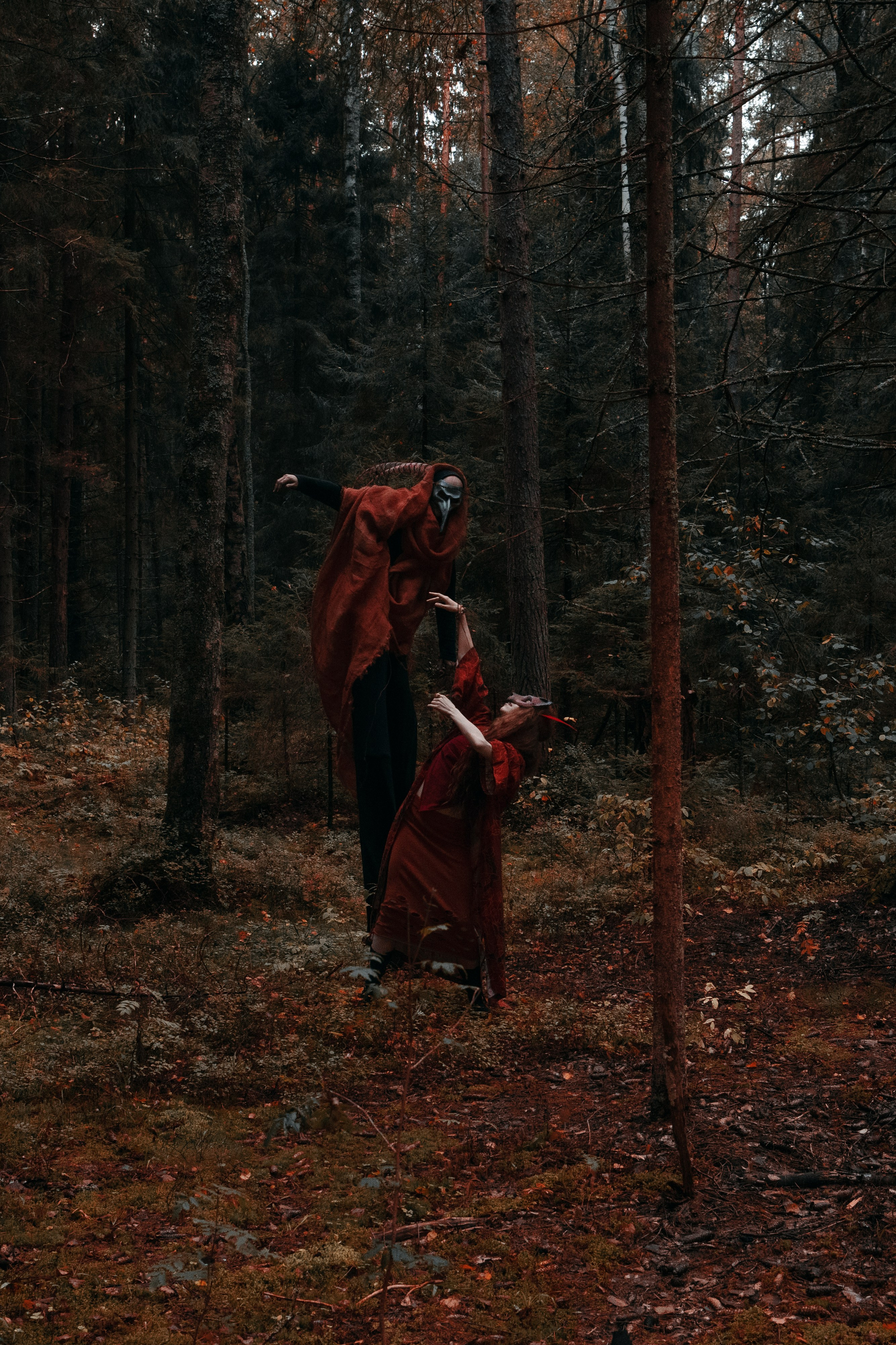 Огненная Лисица