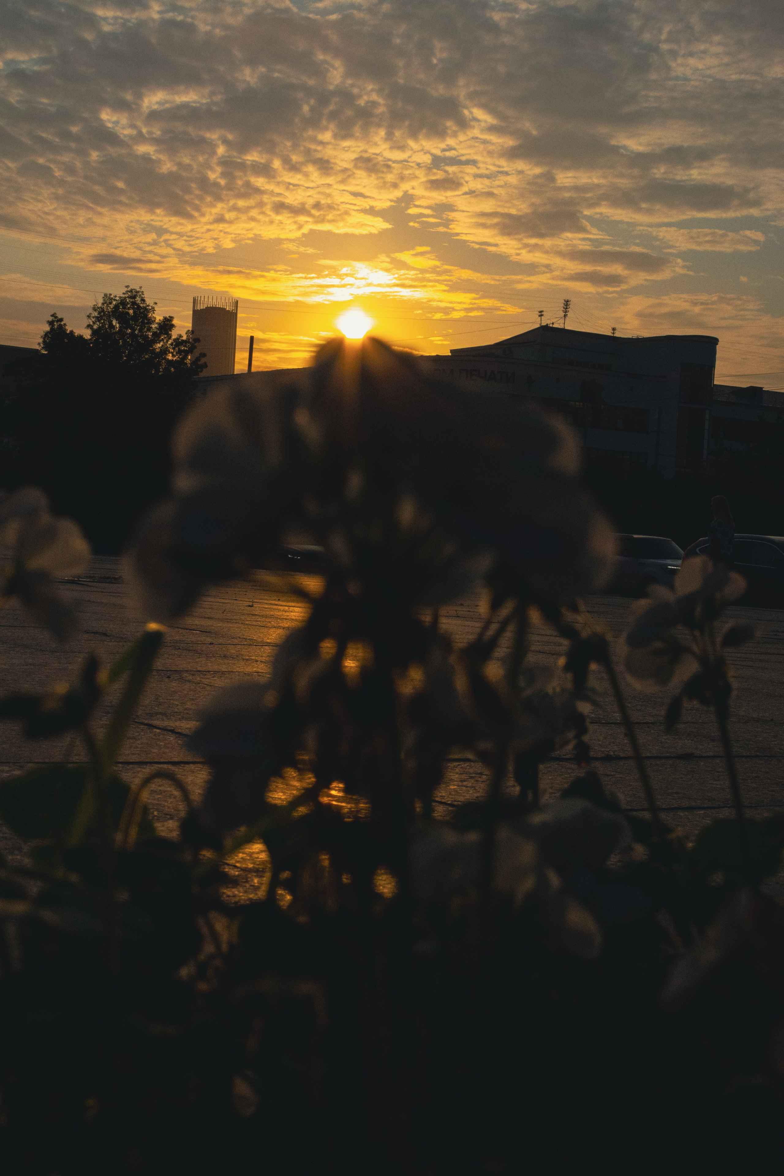 Екатеринбург. Jean De Vivre Gallery