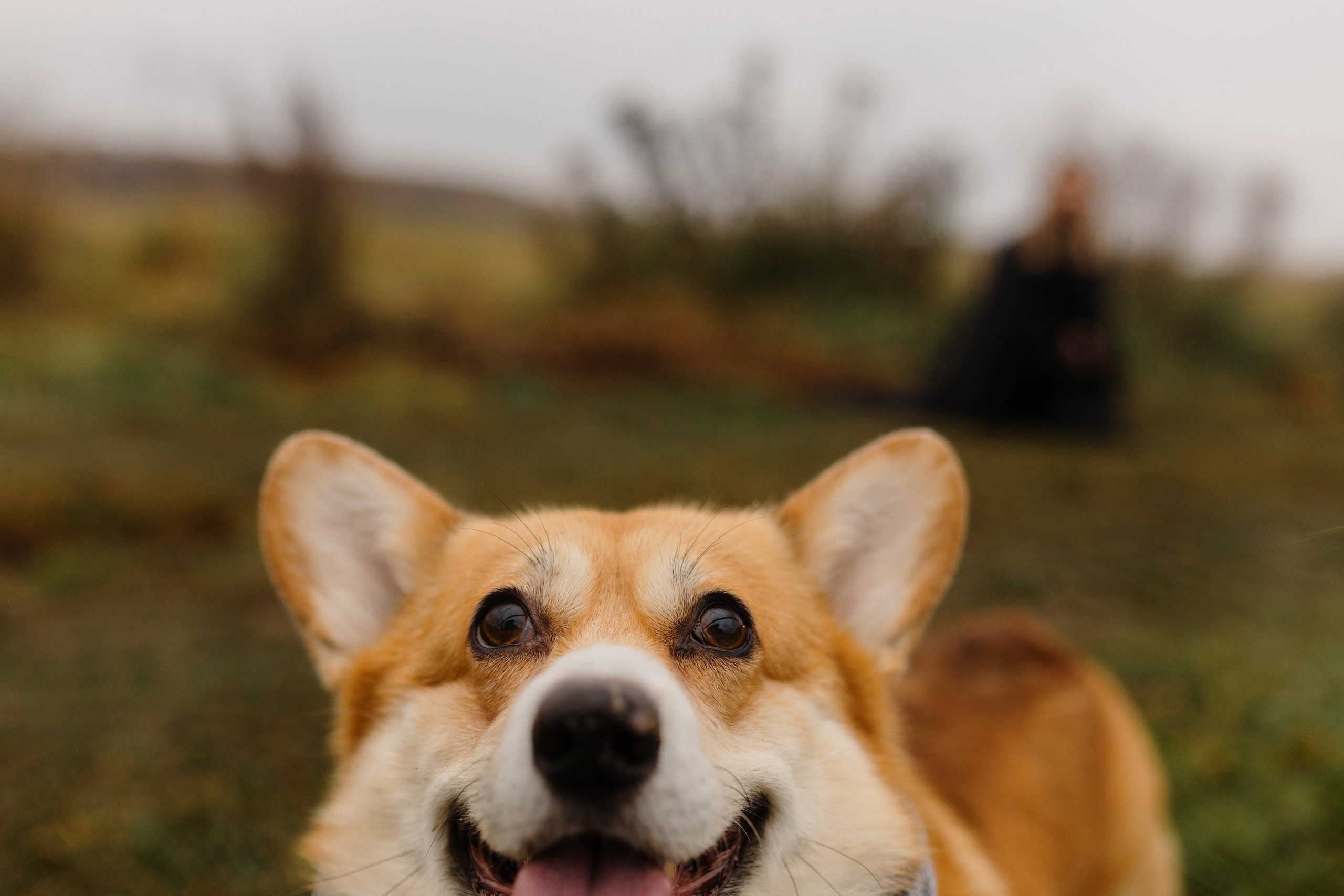 Dog camp / Аня и Бенджи. Фотограф Кузина Вера