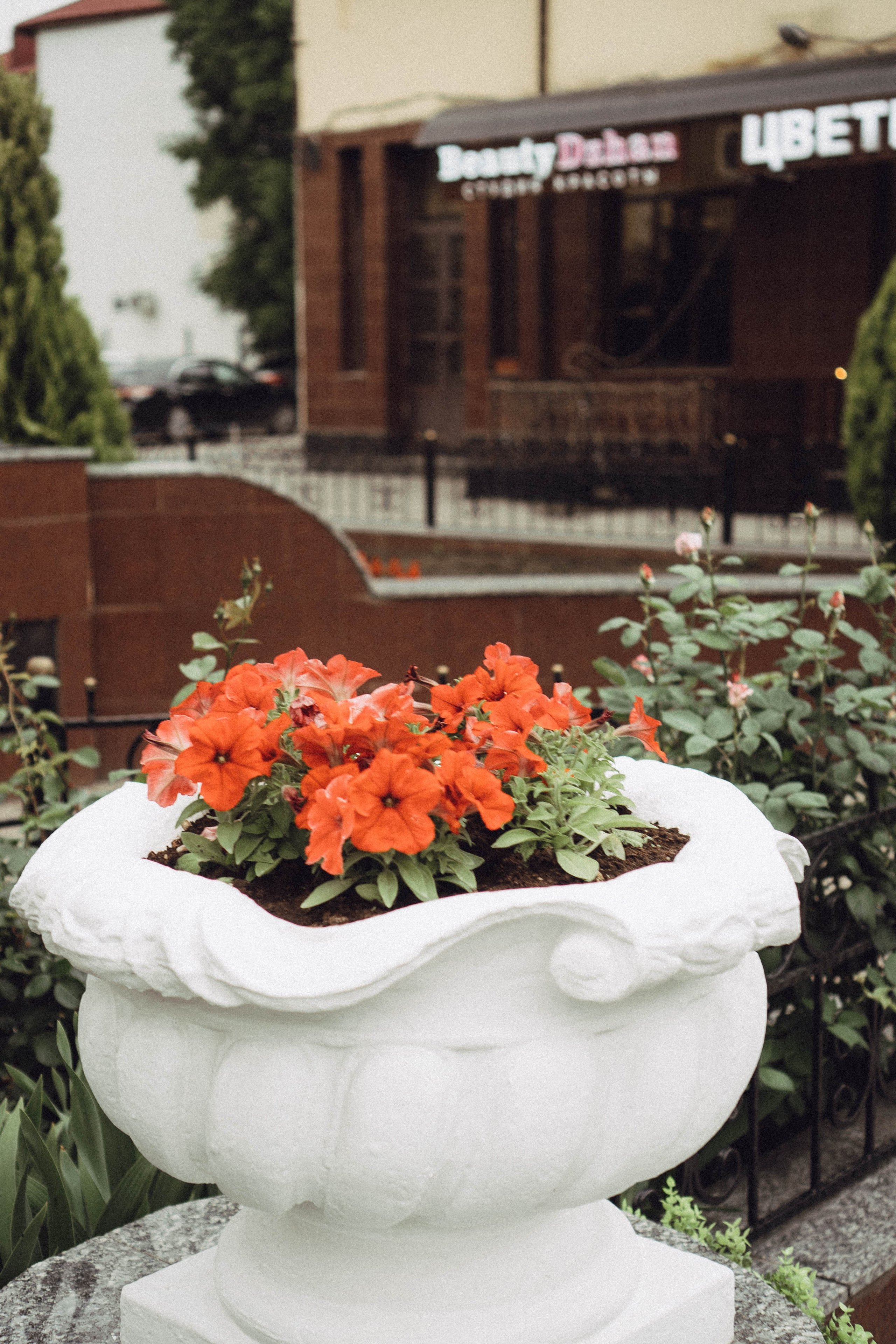 Кавказ. Профессиональный фотограф, Санкт-Петербург — Виктория Богомолова