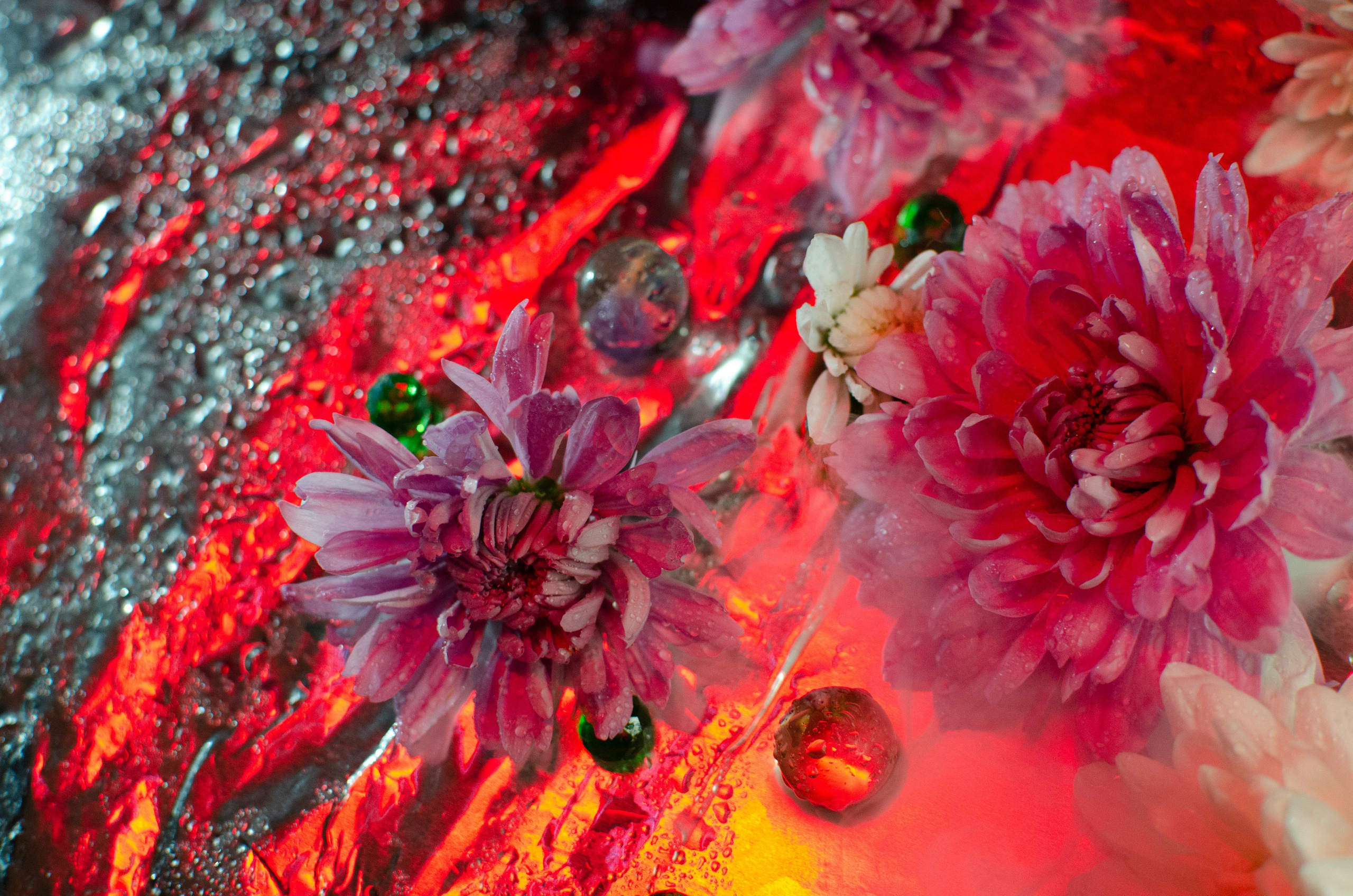 Цветы. Портретный фотограф в Санкт-Петербурге Аласкарова Алессия