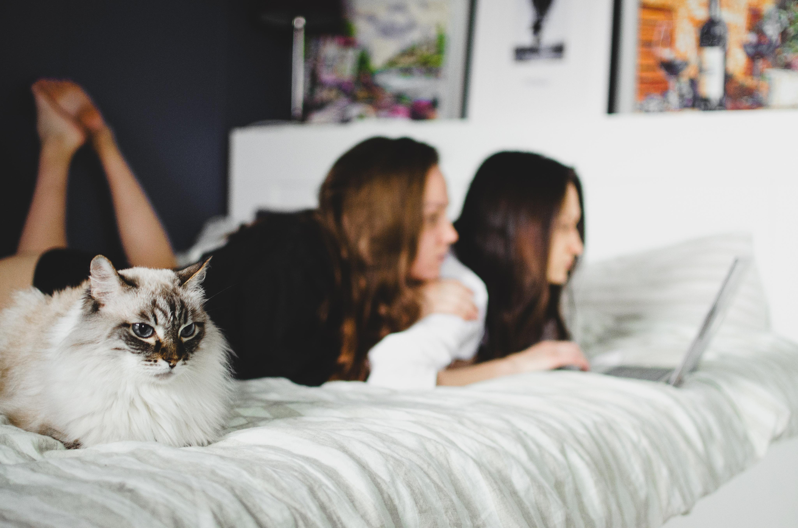 Домашняя фотосессия. Портретный фотограф в Санкт-Петербурге Аласкарова Алессия