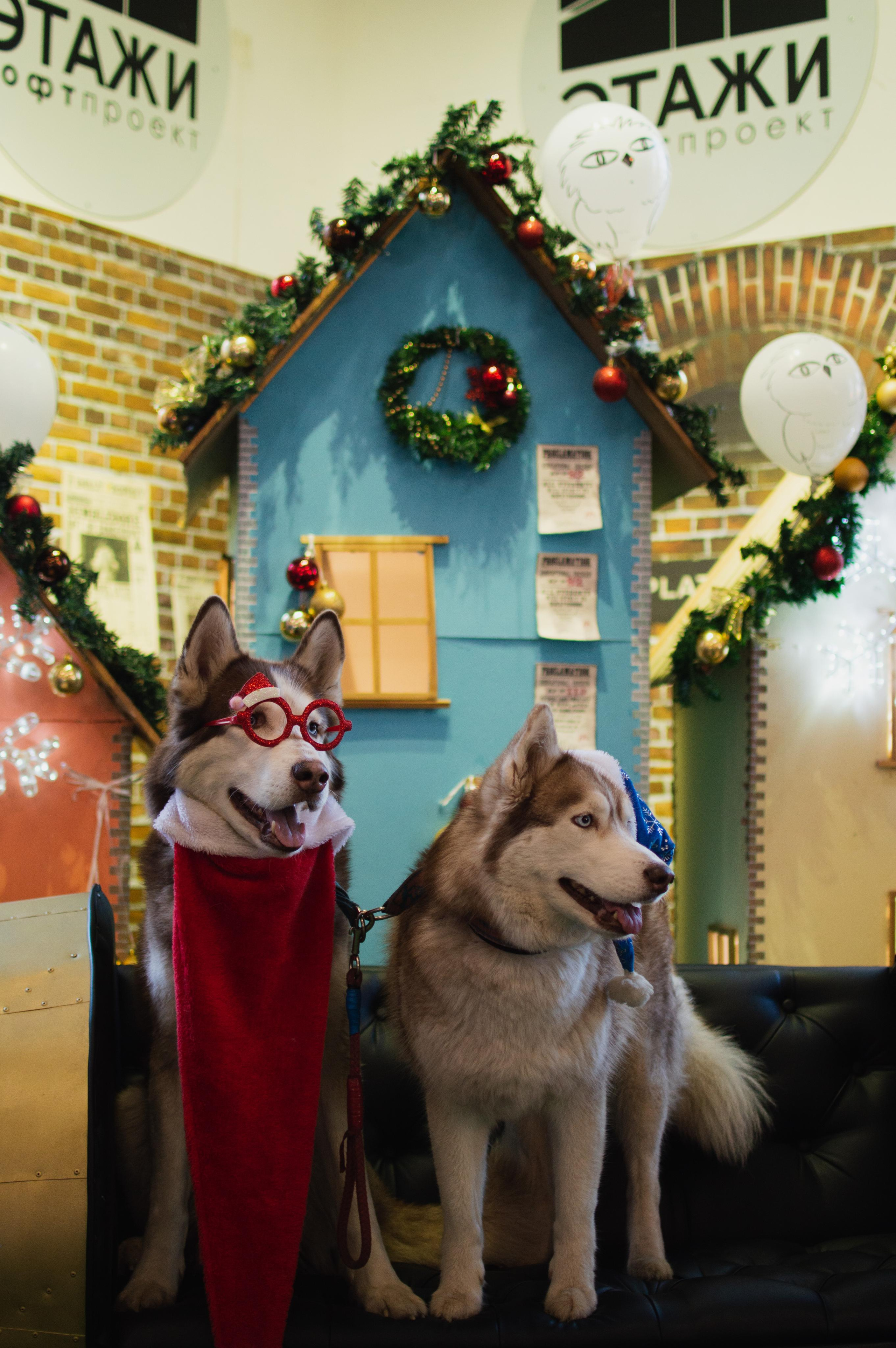 Новогодняя ярмарка в Лофт проект Этажи. Портретный фотограф в Санкт-Петербурге Аласкарова Алессия
