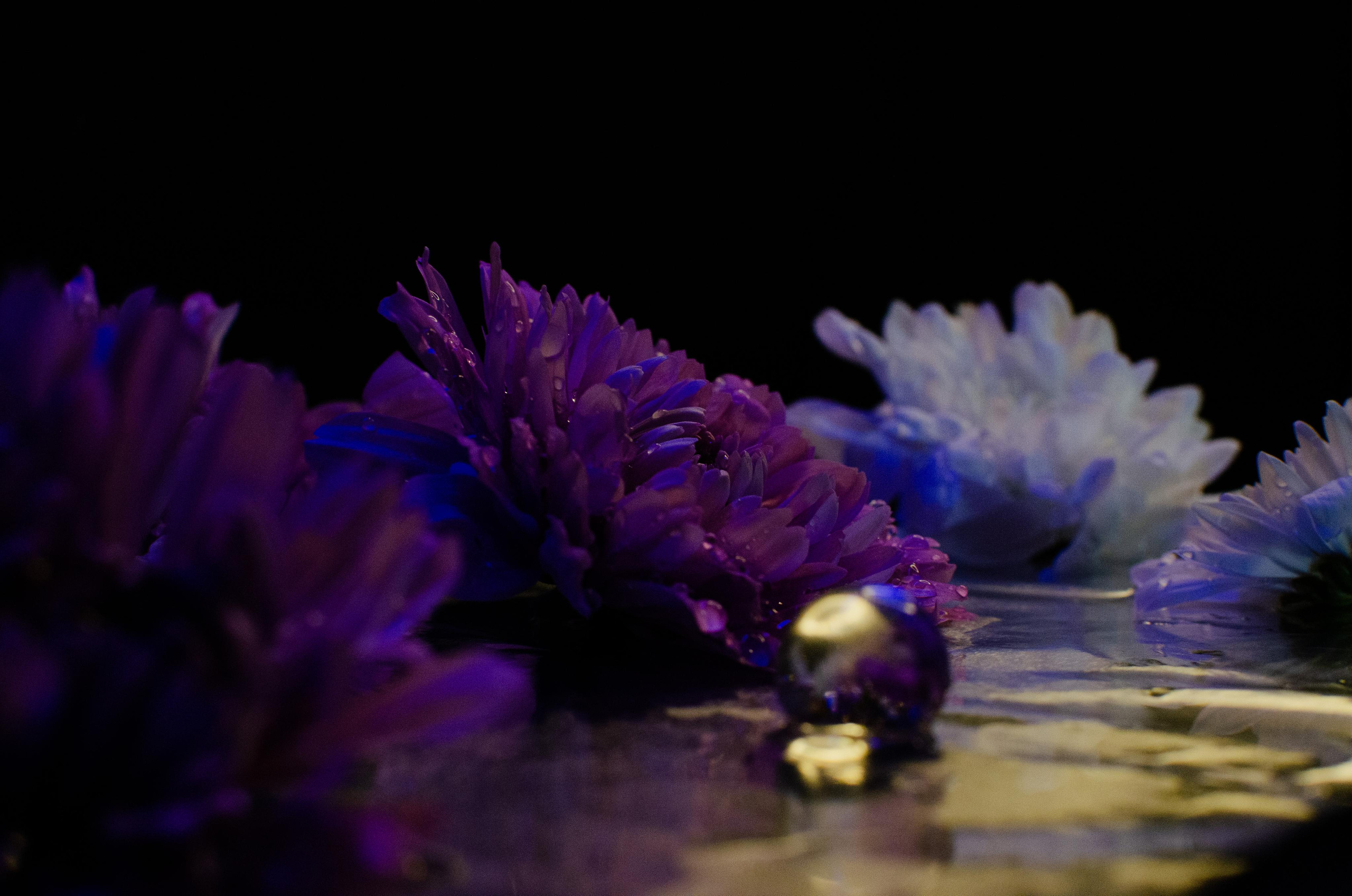 Цветы. Портретный фотограф в Санкт-Петербурге Аласкарова Алессия