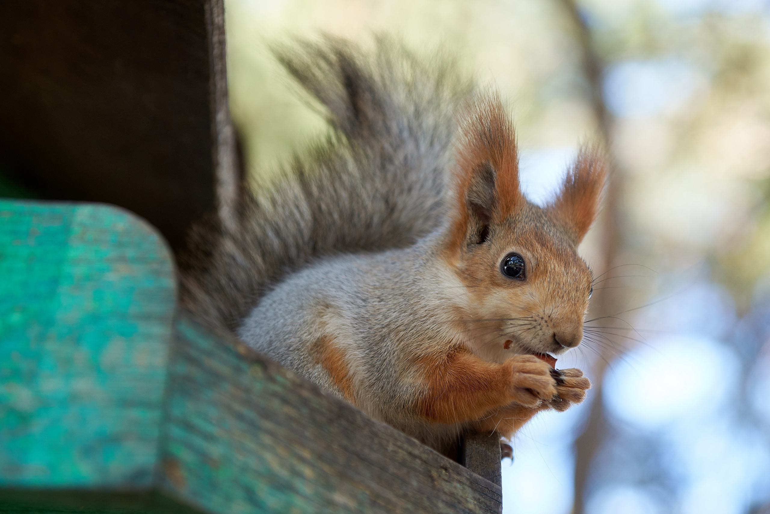 Геленджик. Фотограф Владимир Артамонов