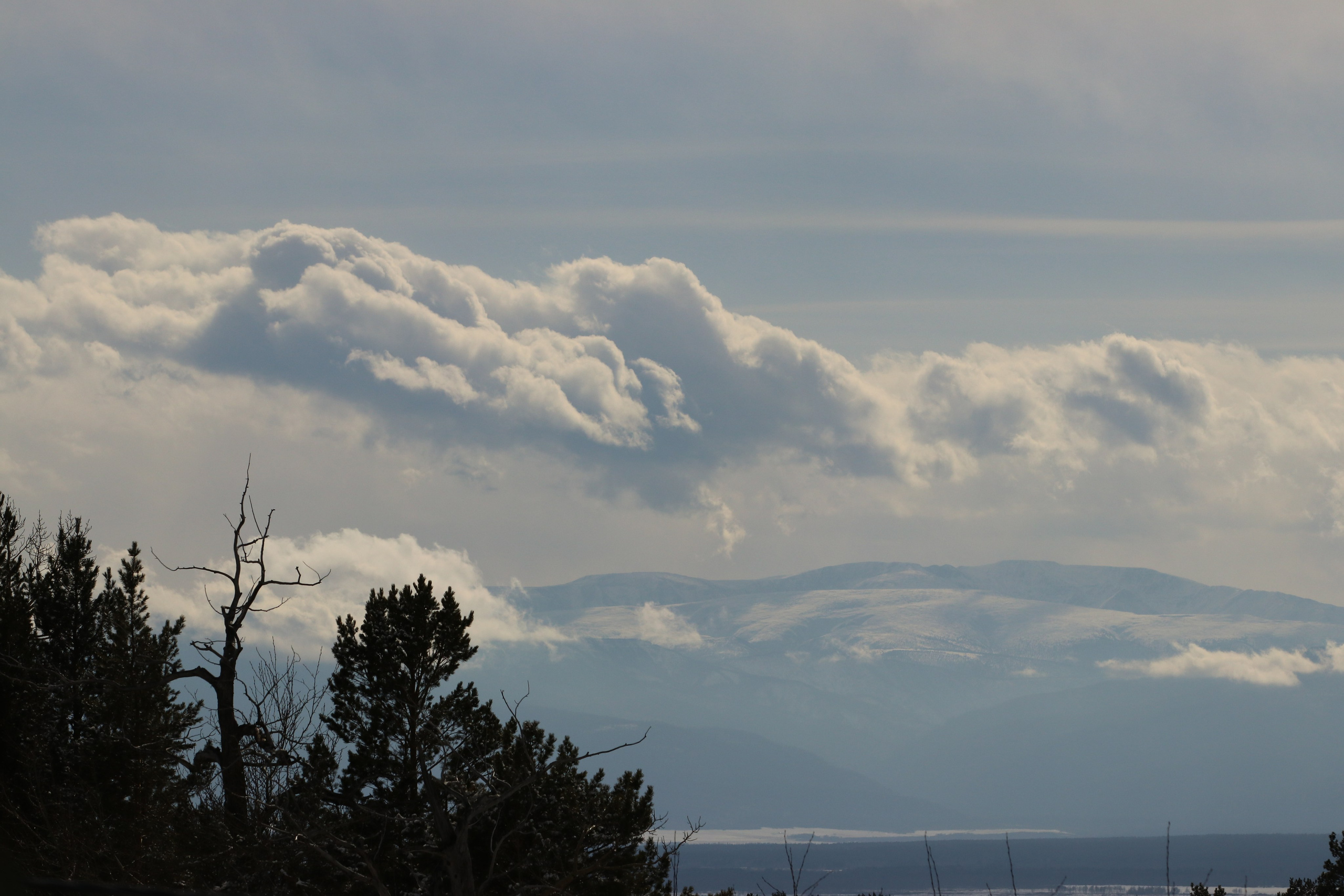 Аршан. Март 2023. Путешественник-фотограф из Санкт-Петербурга Татьяна Свистулина