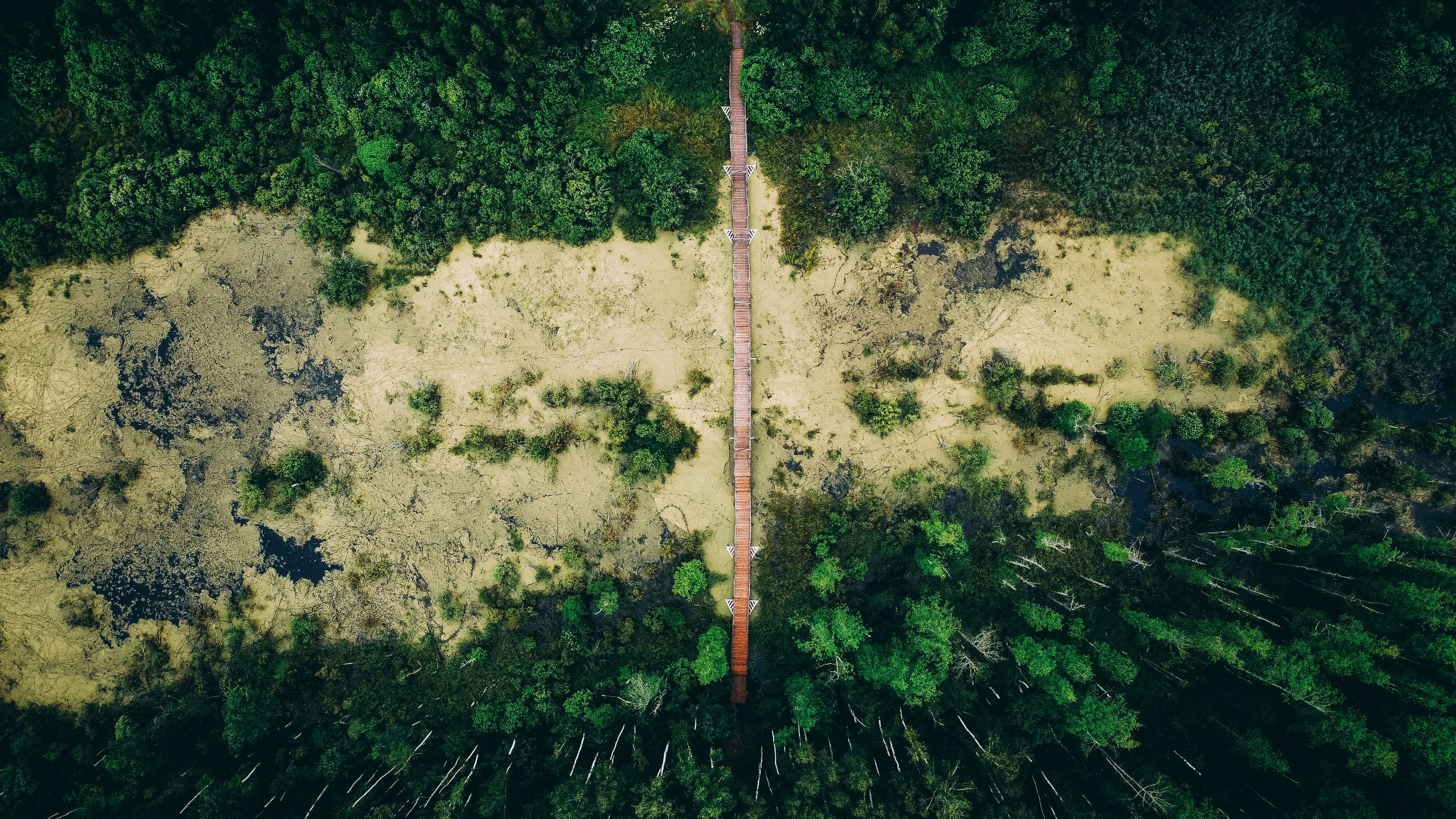 Аэросъемка. Фотограф в Москве, Дмитрий Горбатов