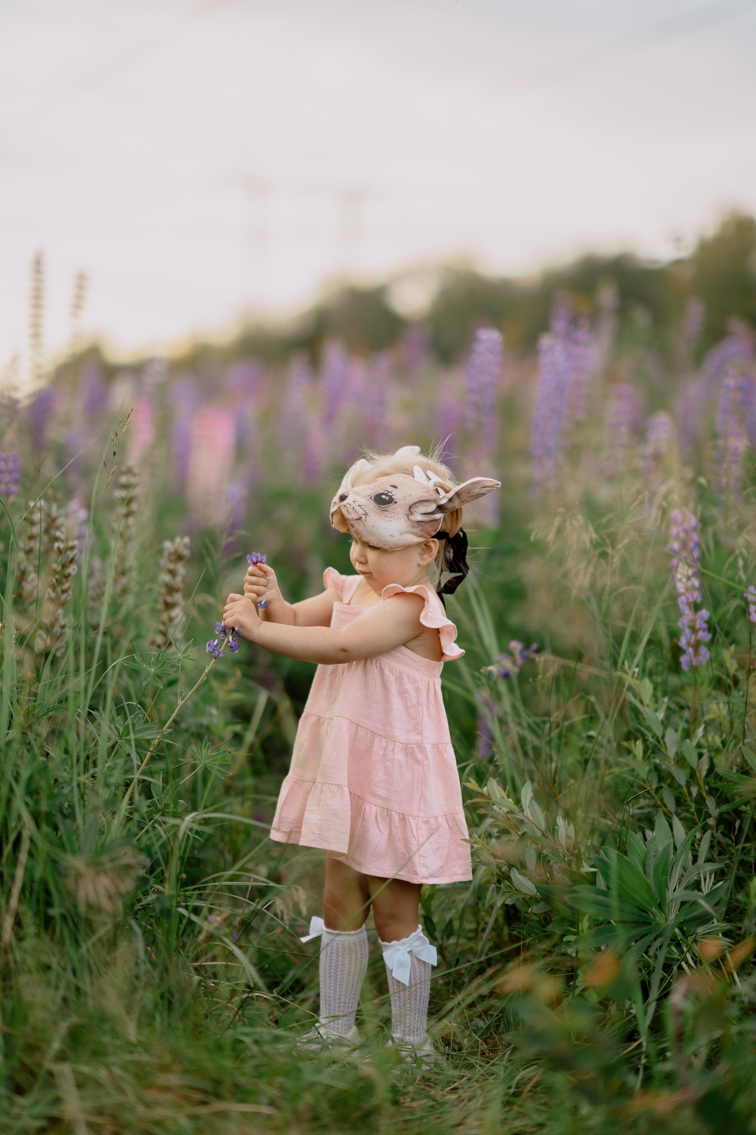 Фотосессия в люпинах. Анюта с мамой и папой. Семейный и детский фотограф в Сергиев Посаде, Хотьково Якимчук Любовь