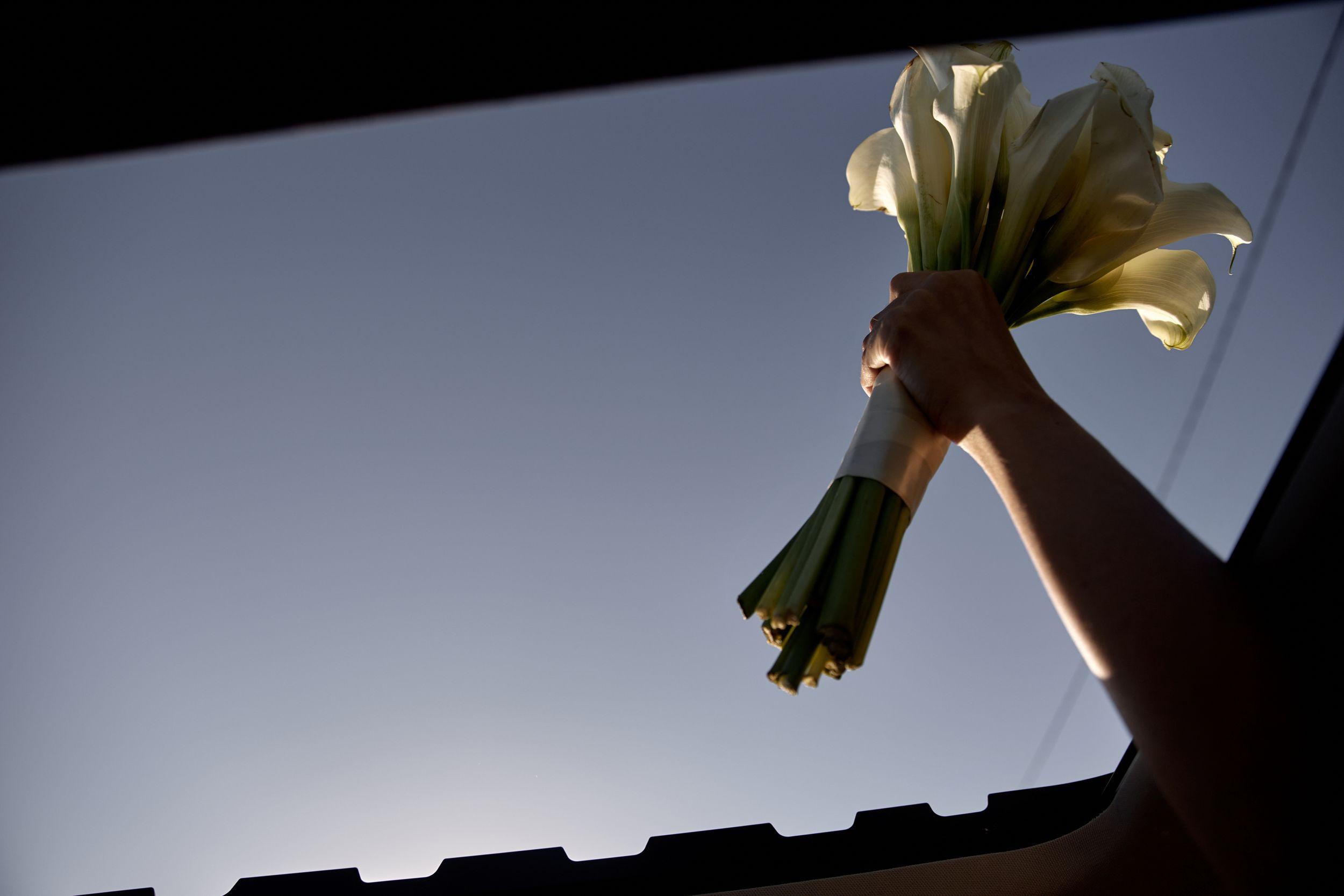 K&V. Свадебный фотограф СПБ Михаил Песиков