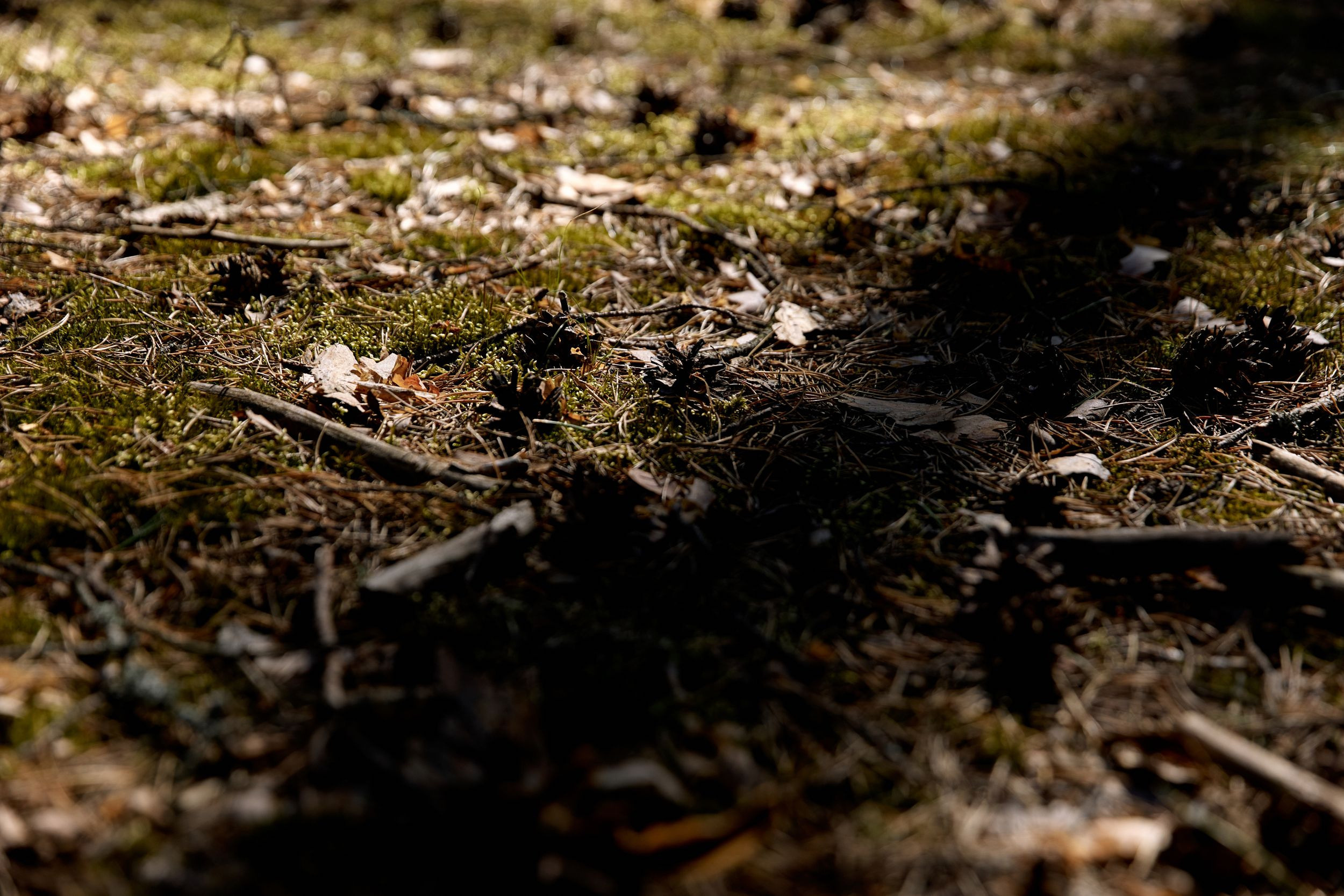 Выездная регистрация в Kalipso. Свадебный фотограф СПБ Михаил Песиков