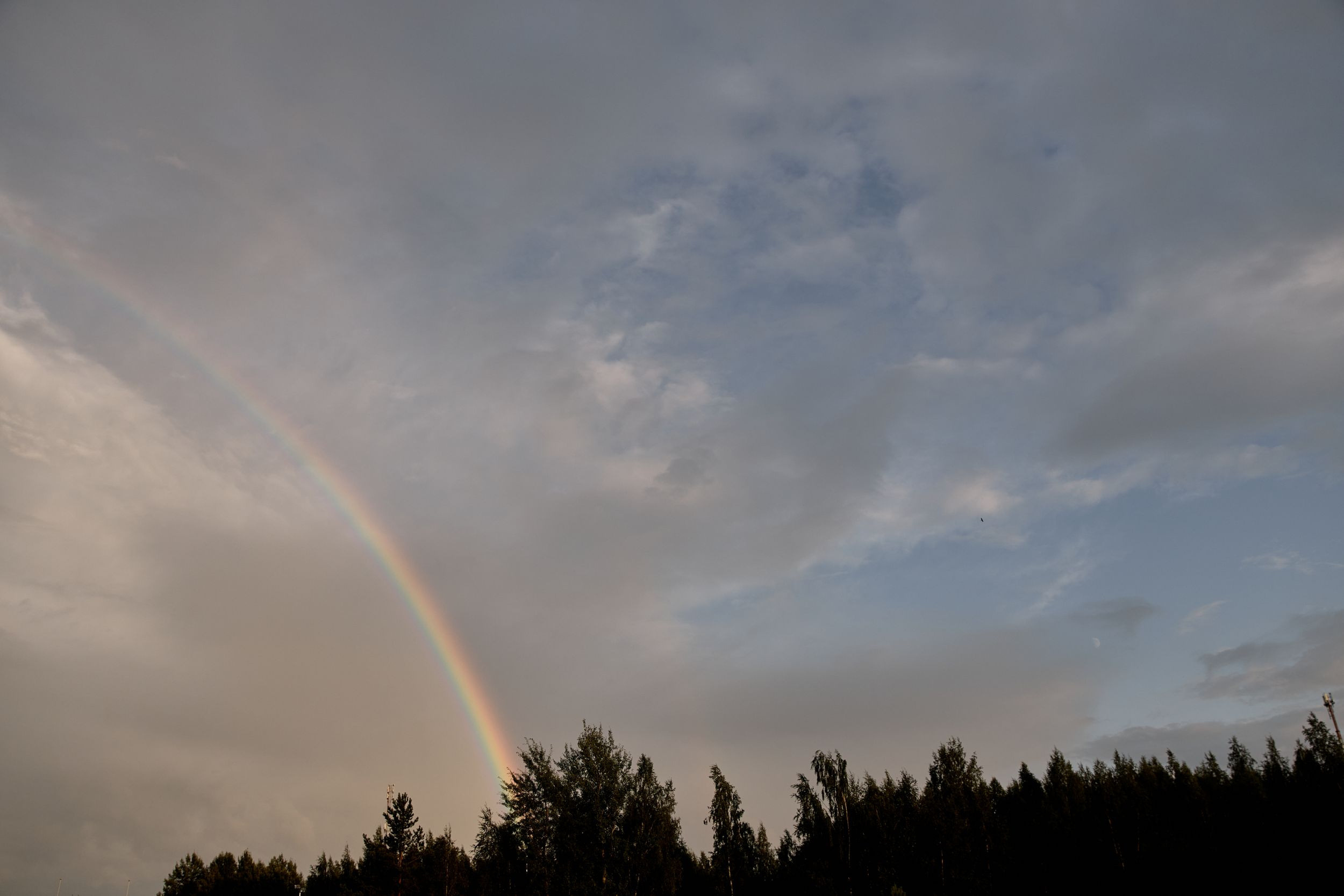 I&V. Свадебный фотограф СПБ Михаил Песиков