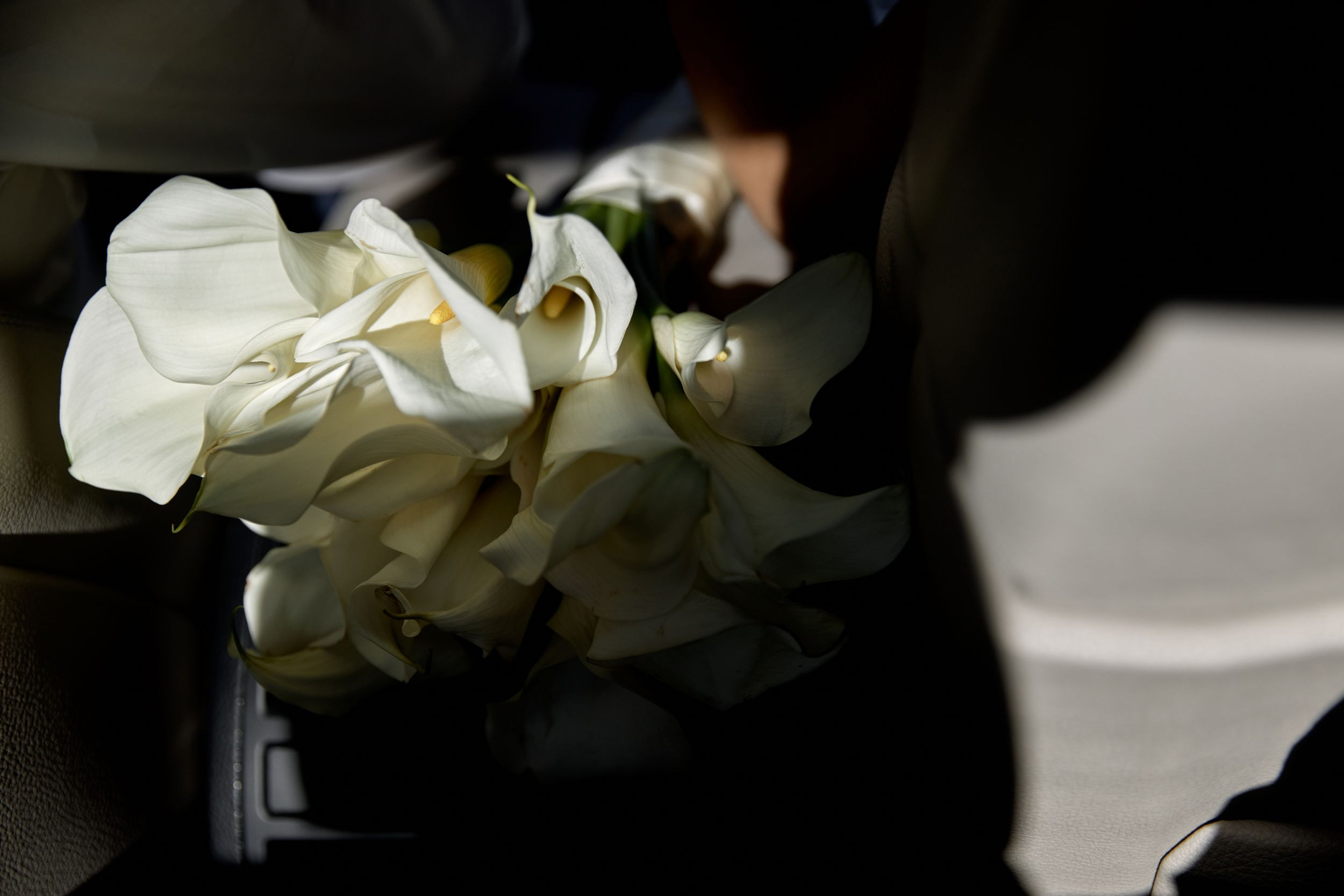 K&V. Свадебный фотограф СПБ Михаил Песиков