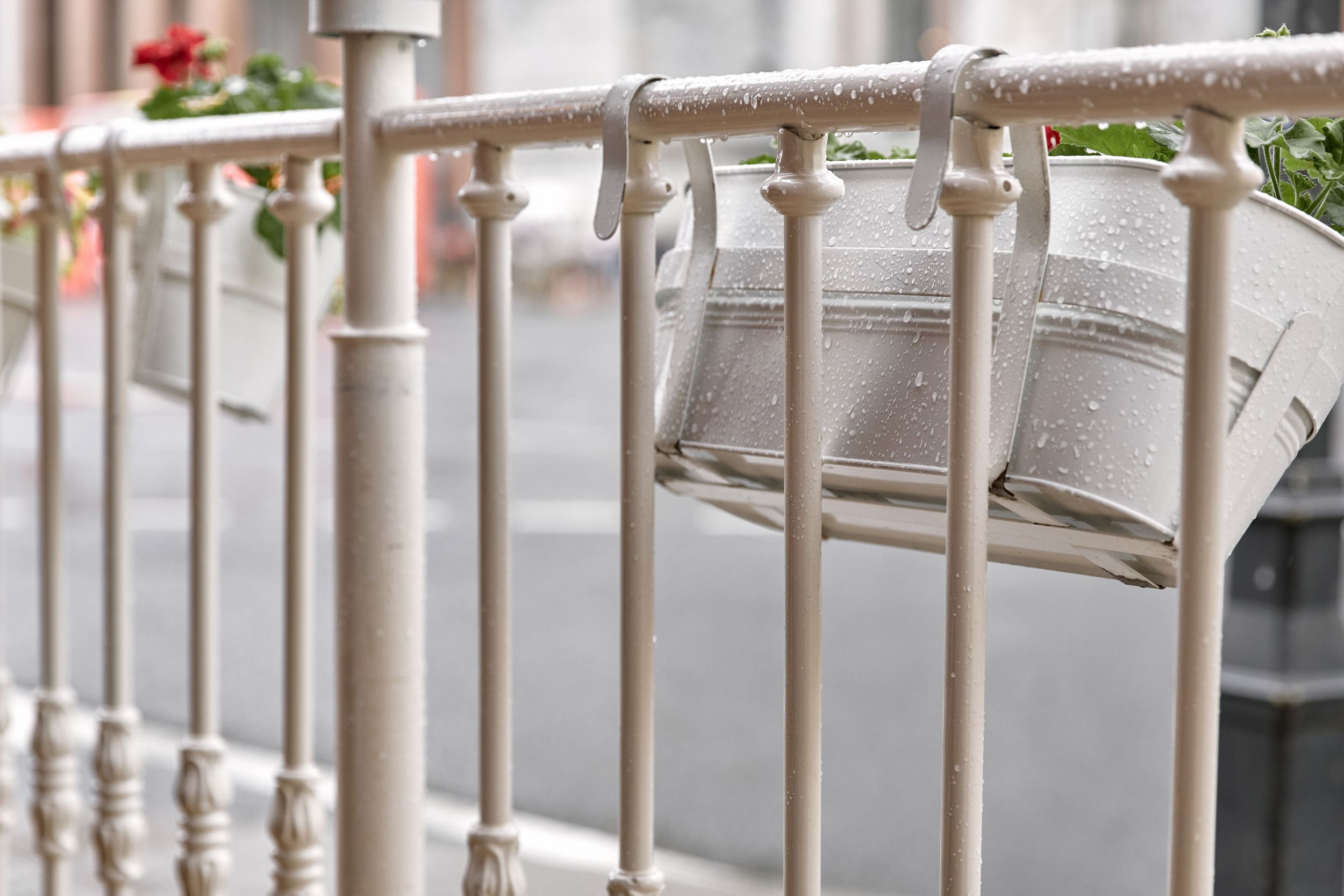 R&S. Свадебный фотограф СПБ Михаил Песиков