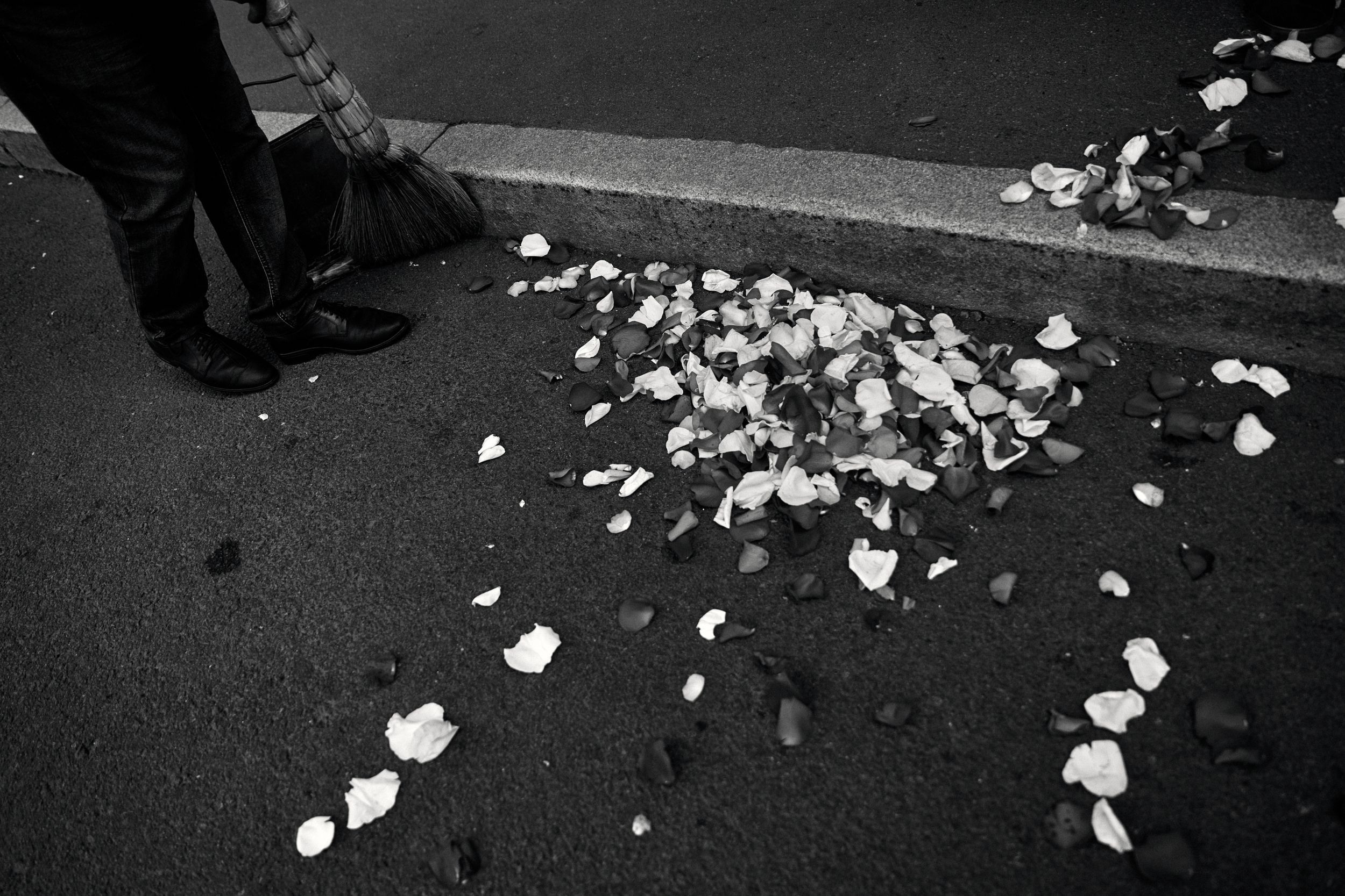 L&L. Свадебный и репортажный фотограф в Санкт-Петербурге | Михаил Песиков