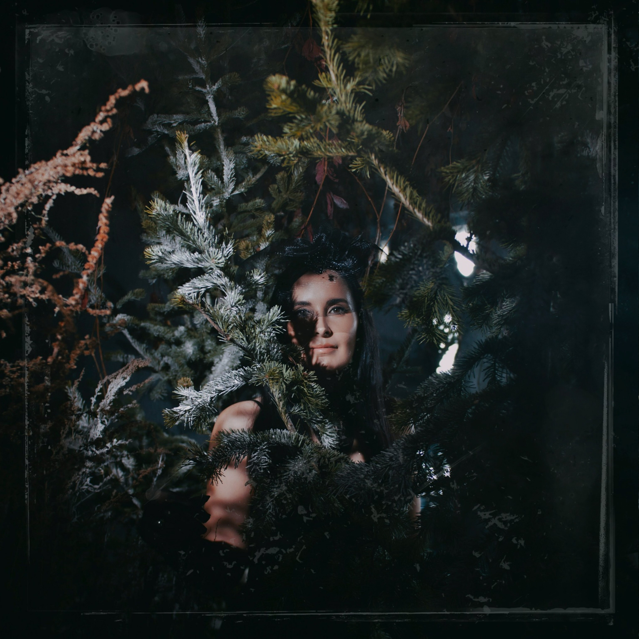 девушка в еловом лесу