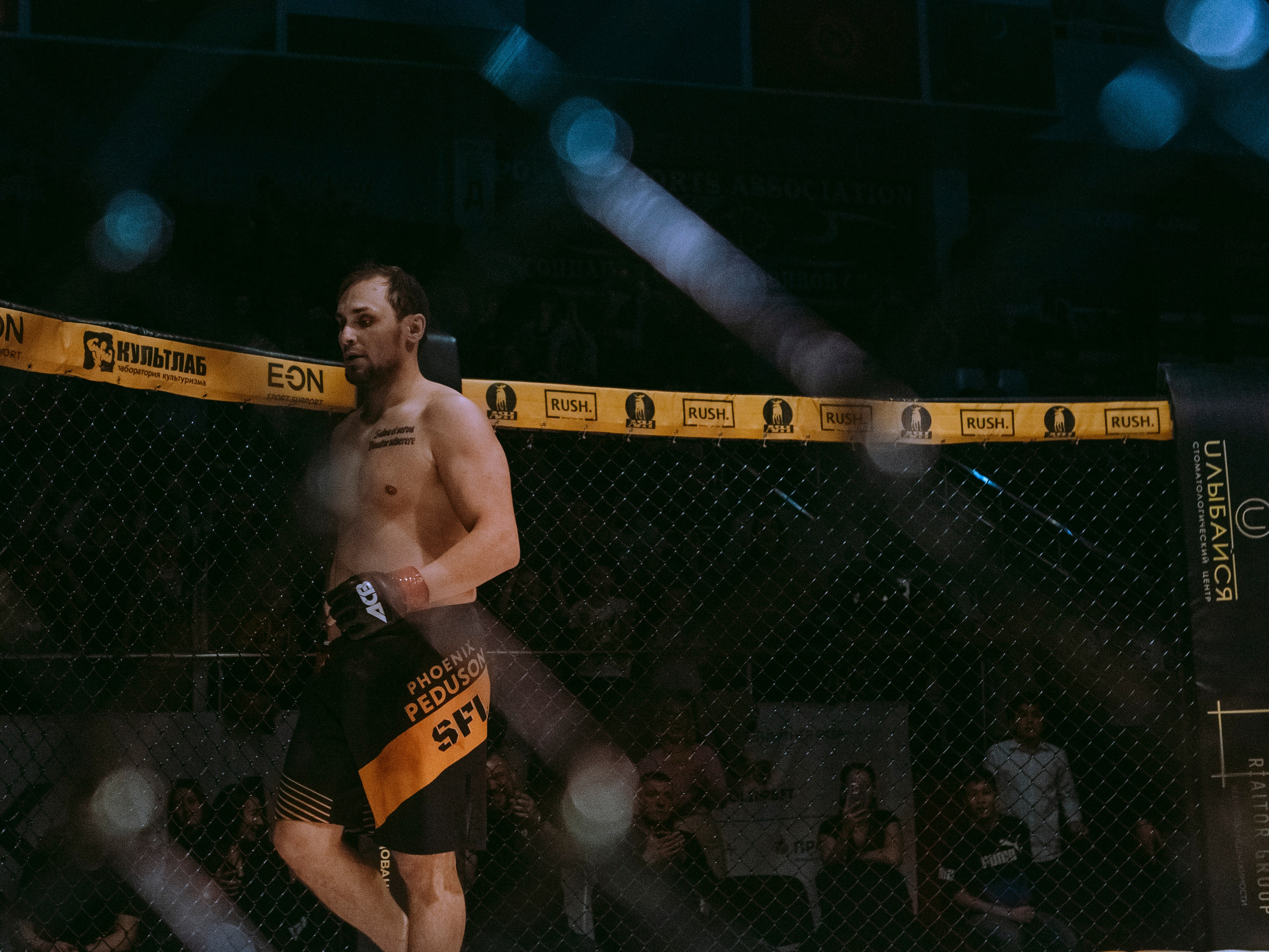 SFL 17 | Siberian Fighting League. Портретный фотограф в Москве Дарья Цезария