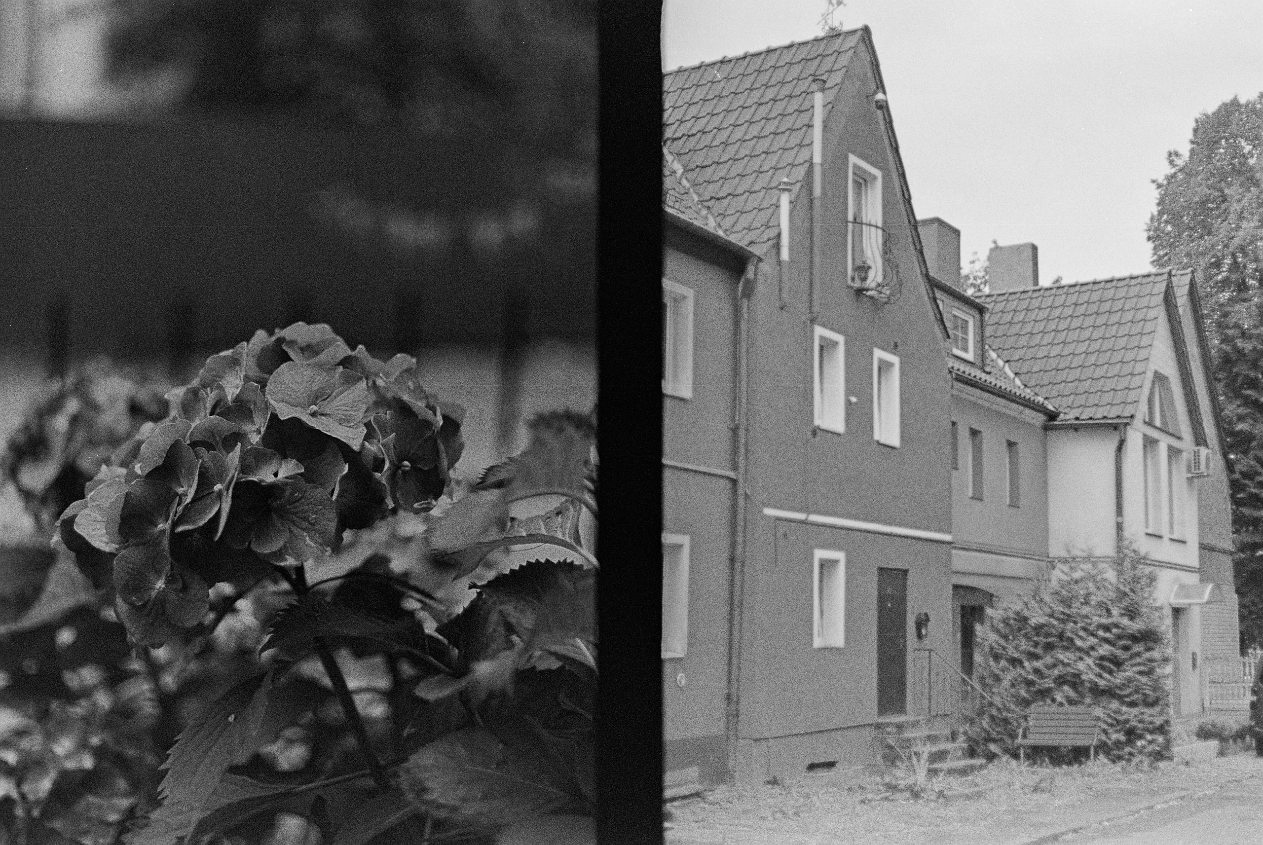 Olympus PEN FT — F.Zuiko Auto-S 38 mm f/1.8 / Kodak Color 200 plus (просрочка)