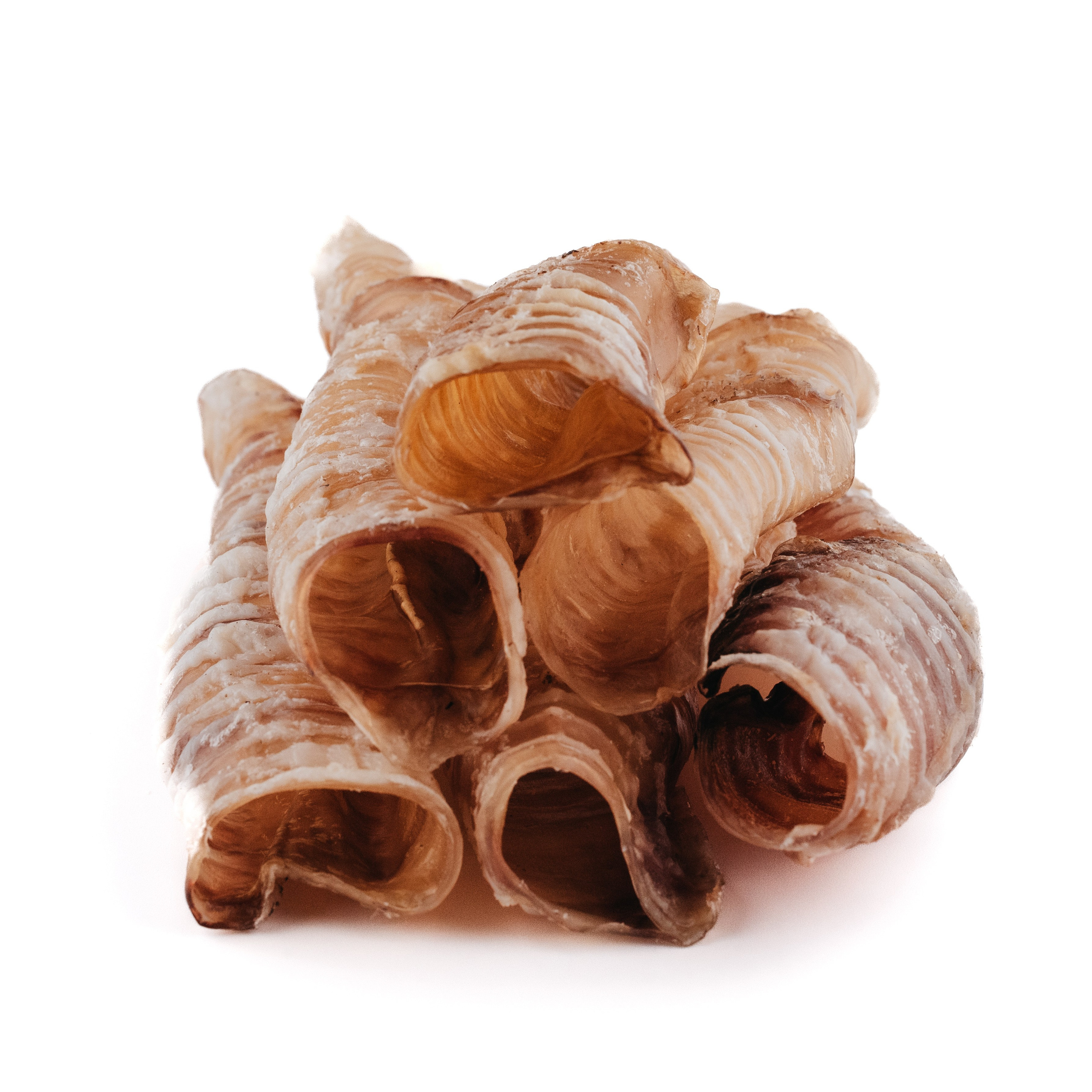 Dog Bone лакомства. Фотограф-анималист Валерия, Москва, Мытищи