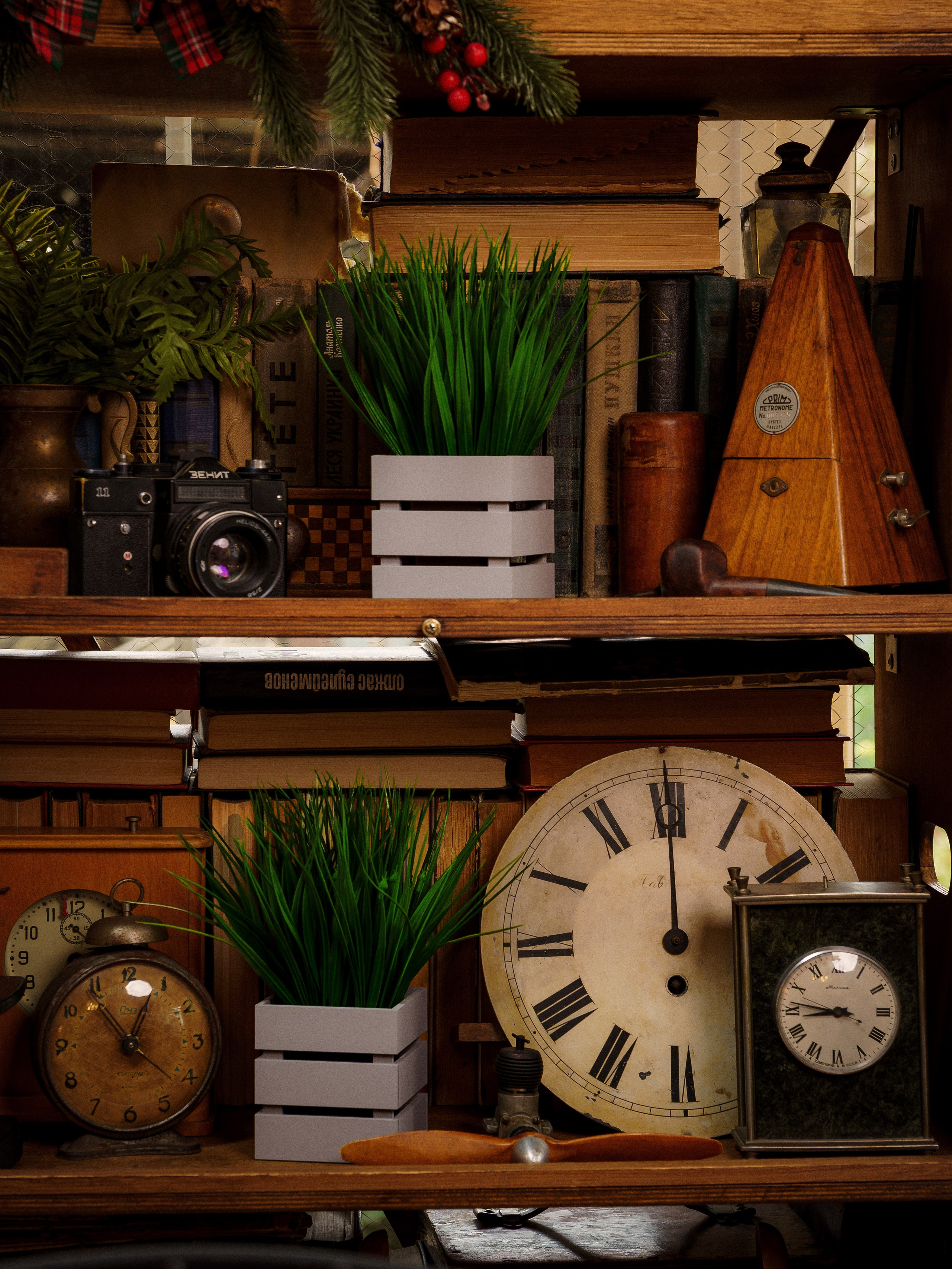 Кашпо. Макаров Сергей|Creamlebot Фотограф города Ростов-на-Дону