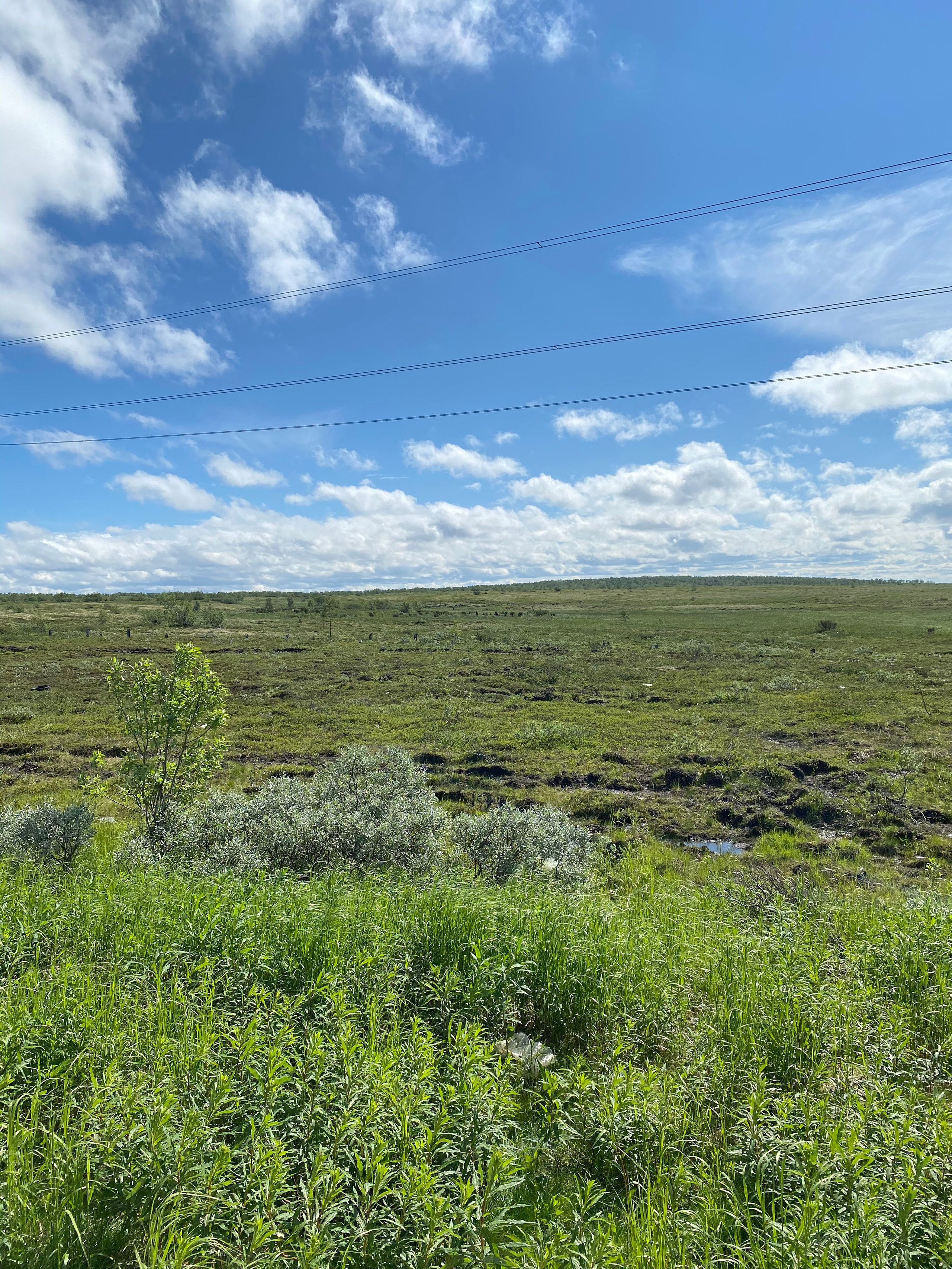 Териберка — 20. Своя Мастерская