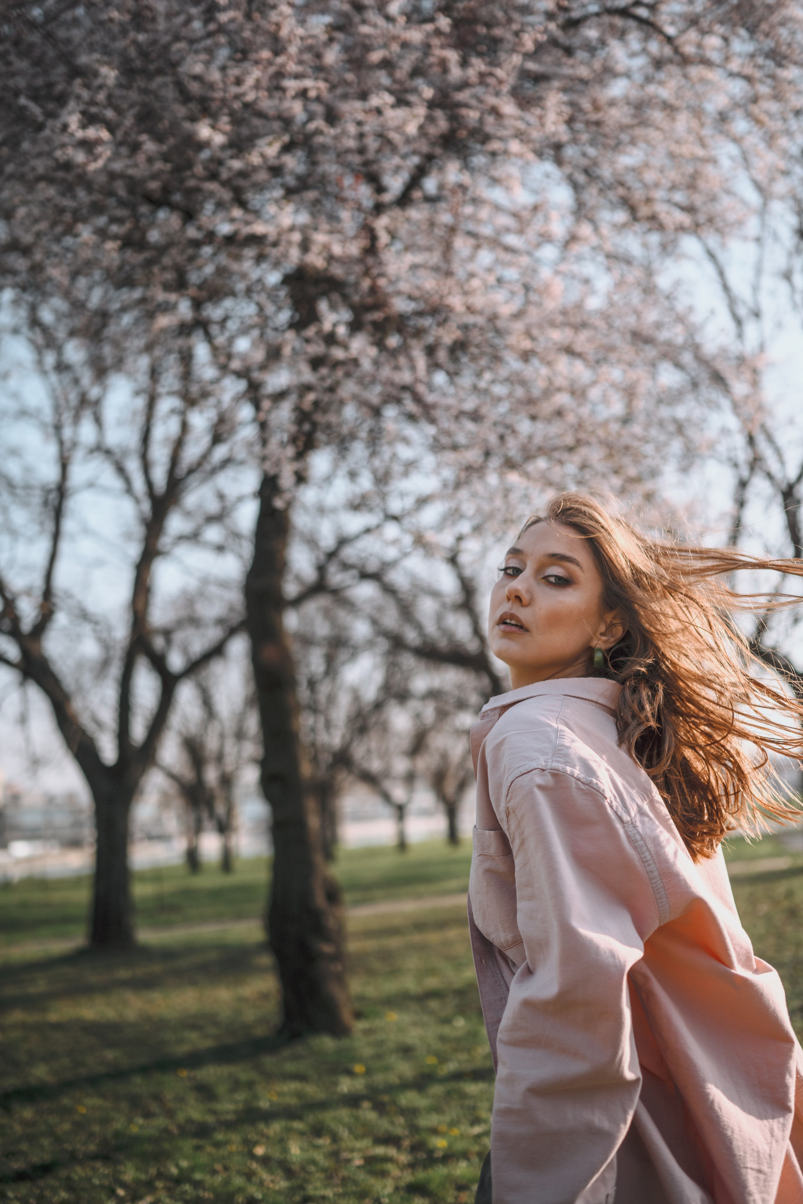 ЦВЕТЕНИЕ ВИШНИ В БЕЛГРАДЕ. Фотограф в Белграде Чугреева Елена