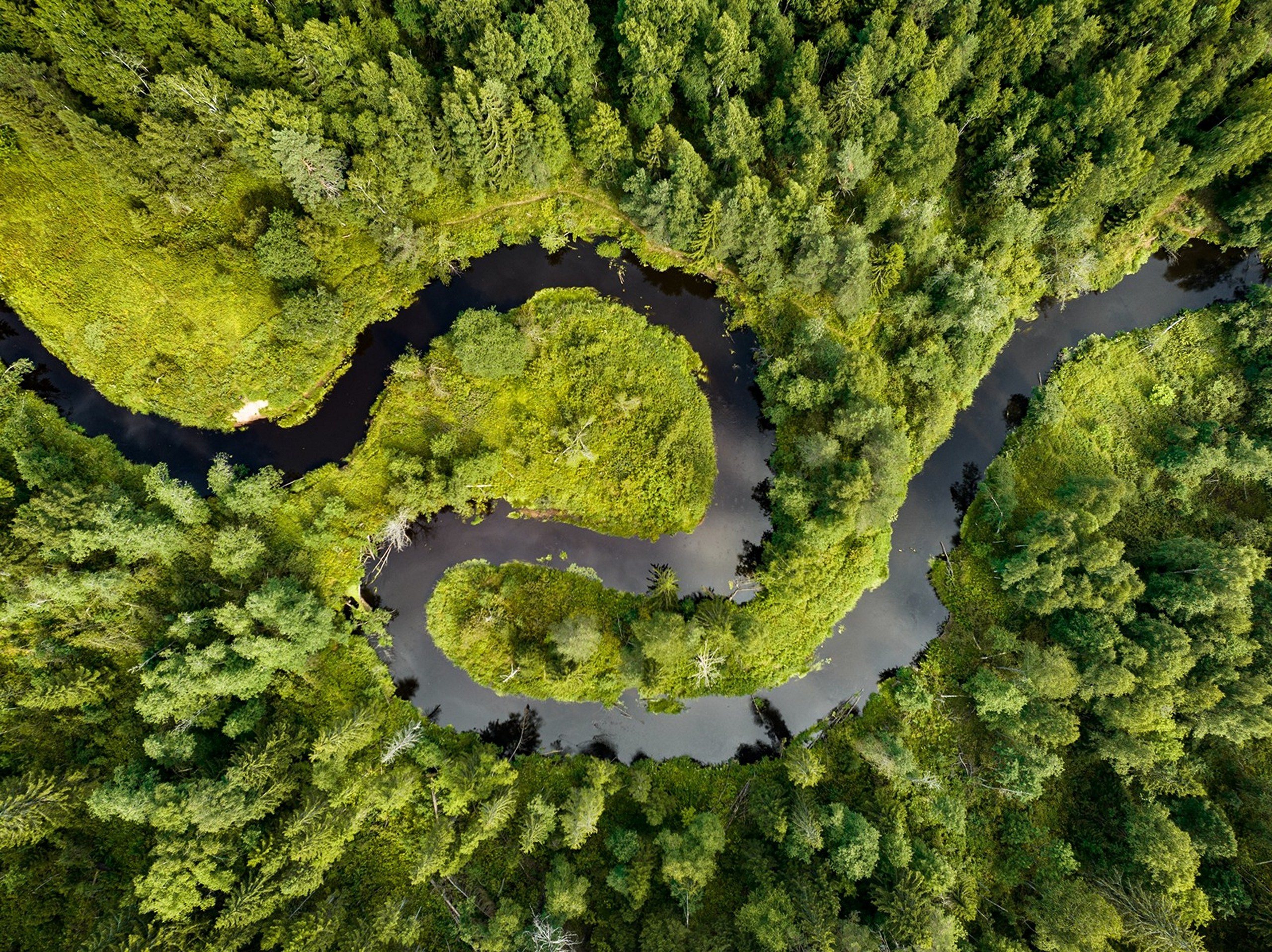 Карельский Перешеек. Фотограф Владимир Медведев